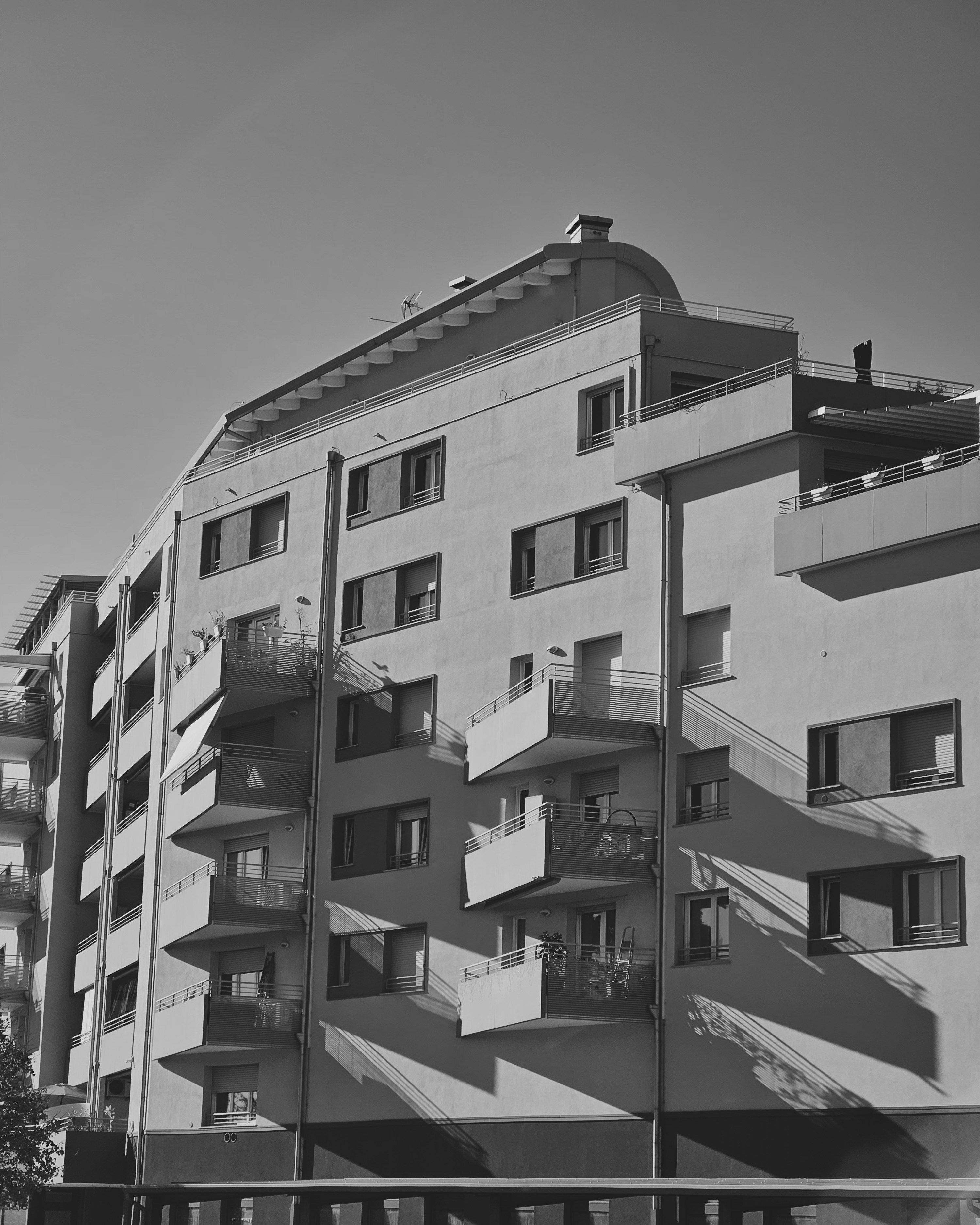 Photo by rynocerontem