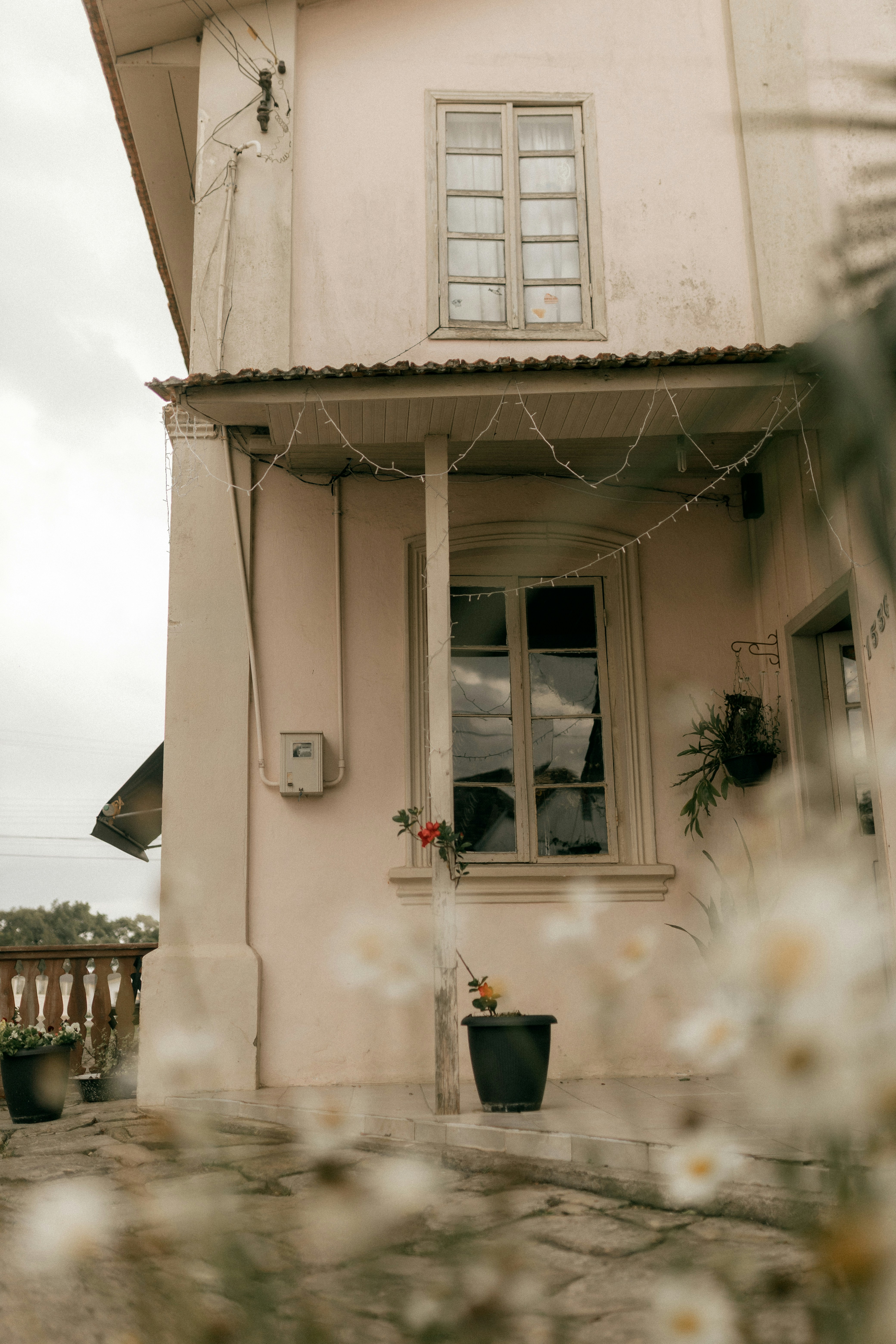 Photo by alexandermassph