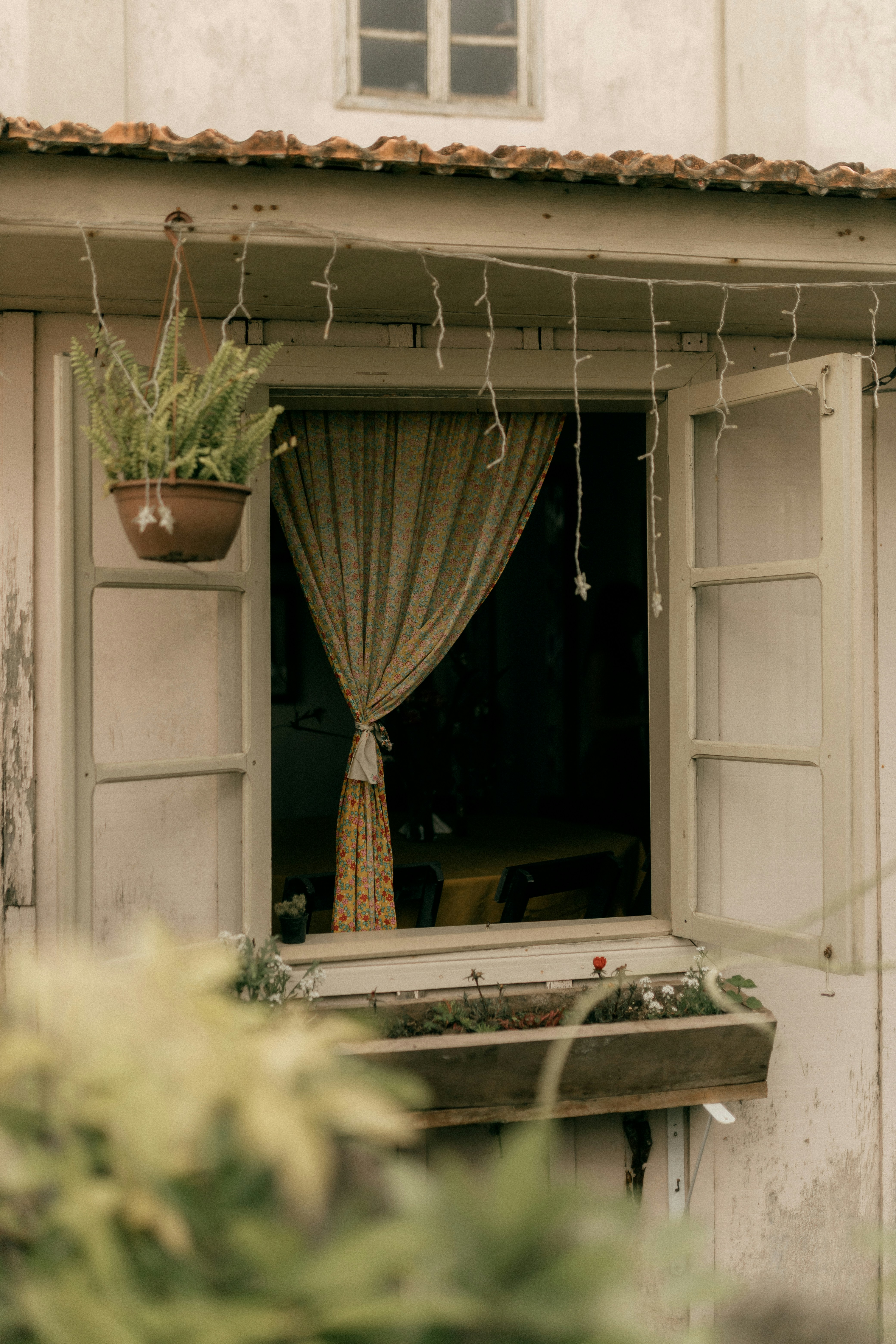 Photo by alexandermassph