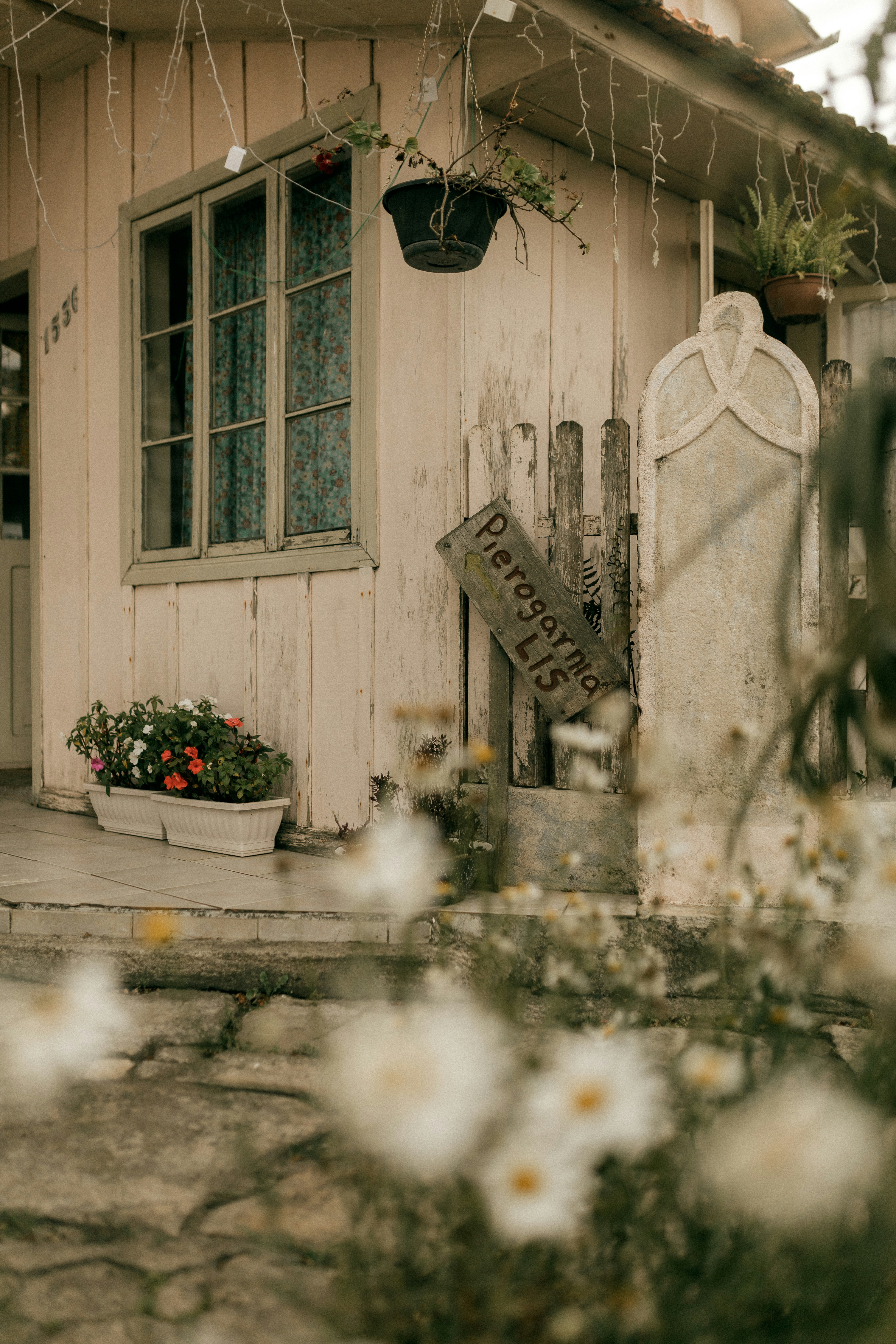 Photo by alexandermassph