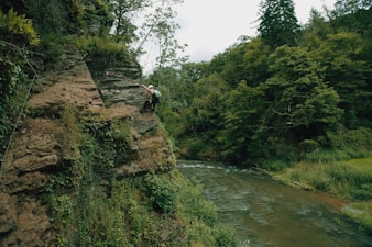 Best Carabiners 2026 — Every Type Reviewed