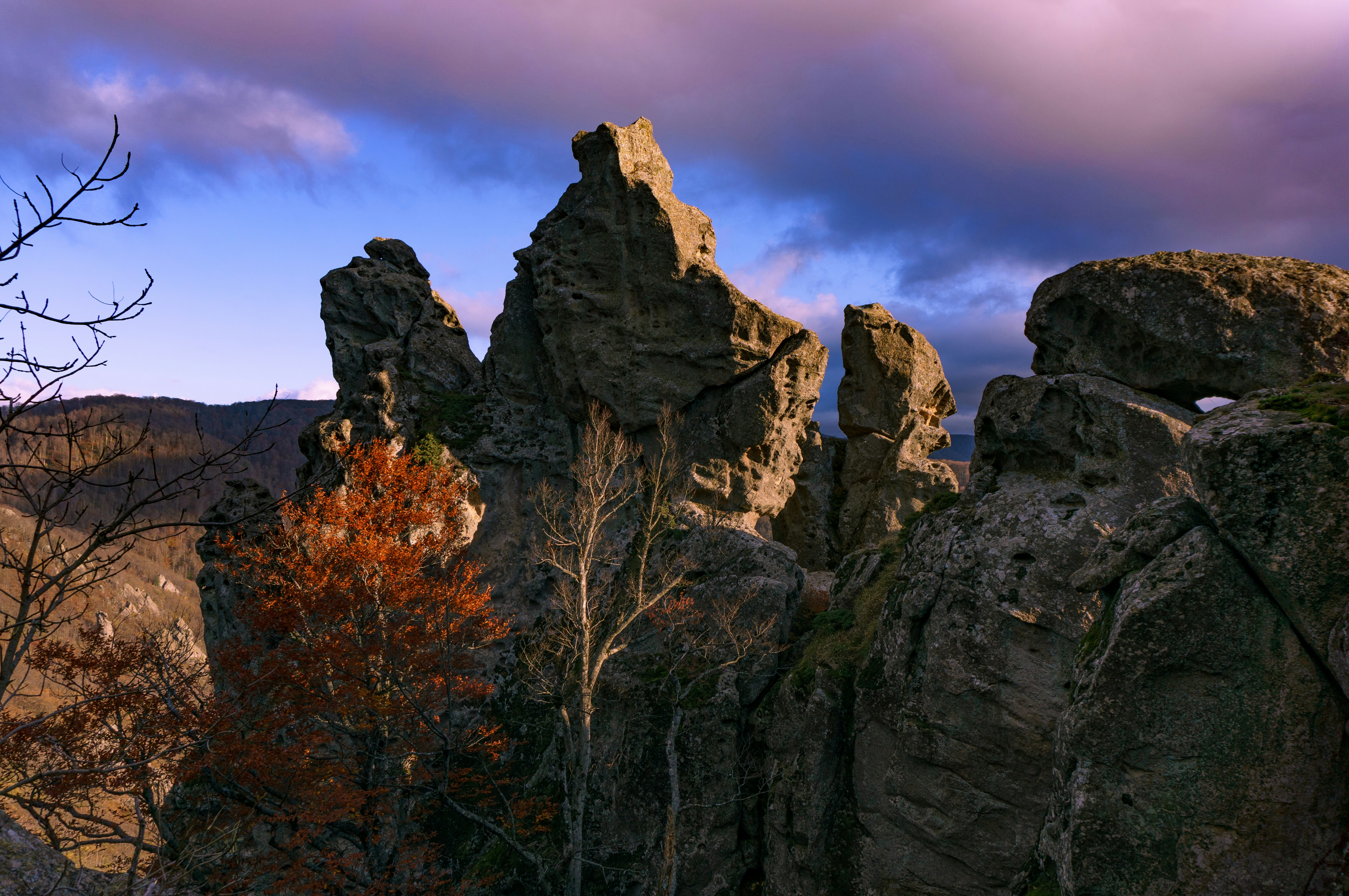 Photo by maksimzaviktorin