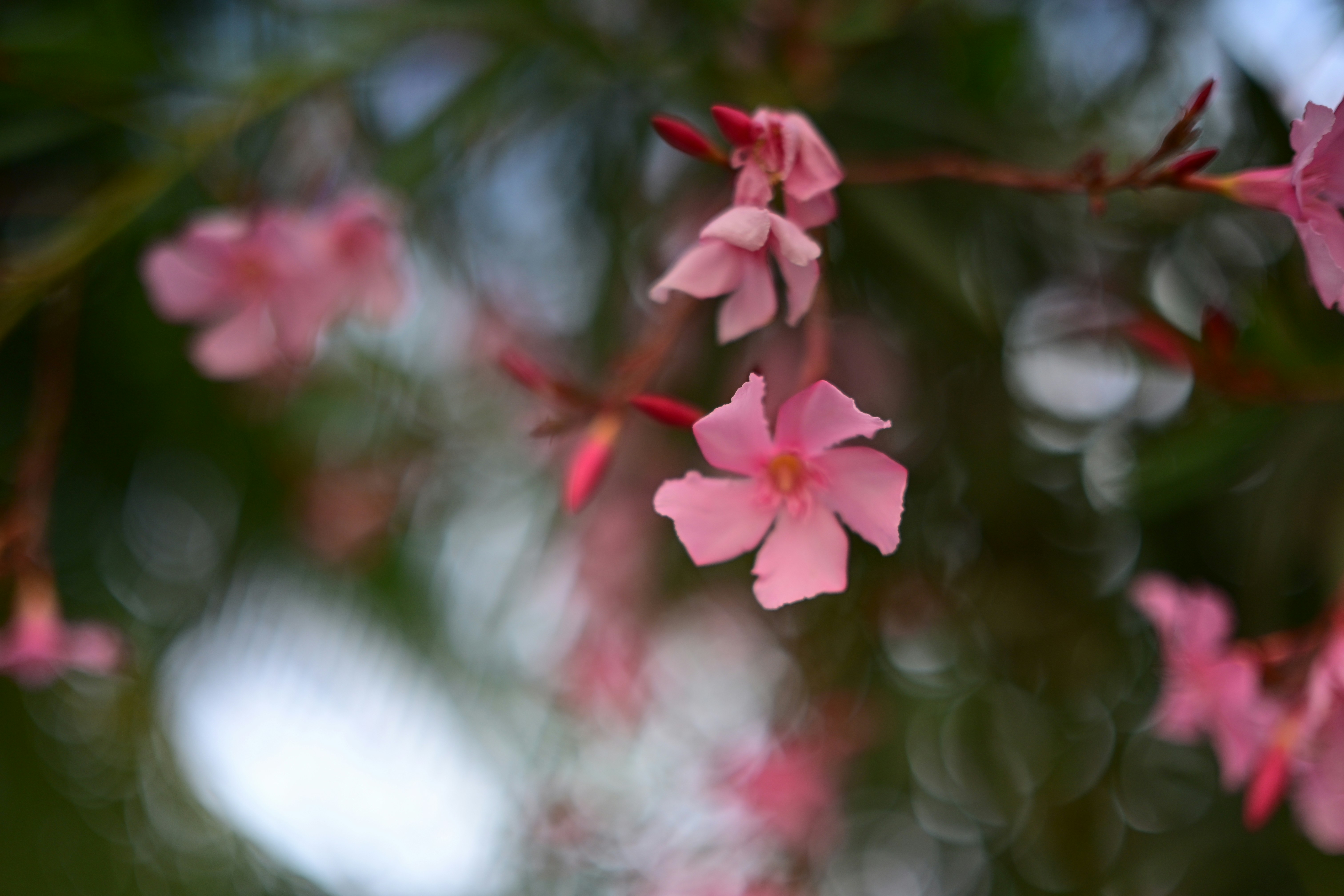 Photo by rrajputphotography