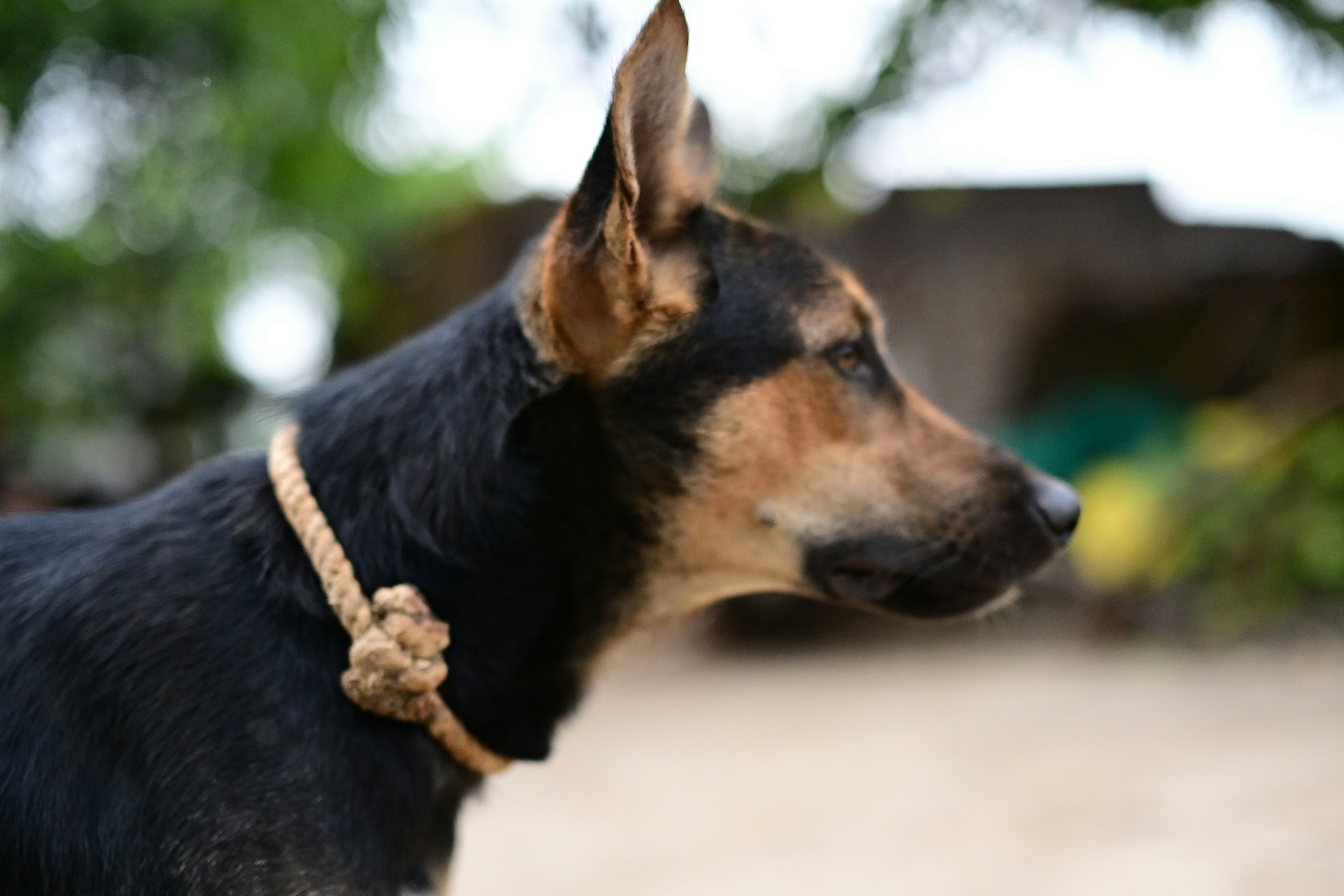 Photo by rrajputphotography