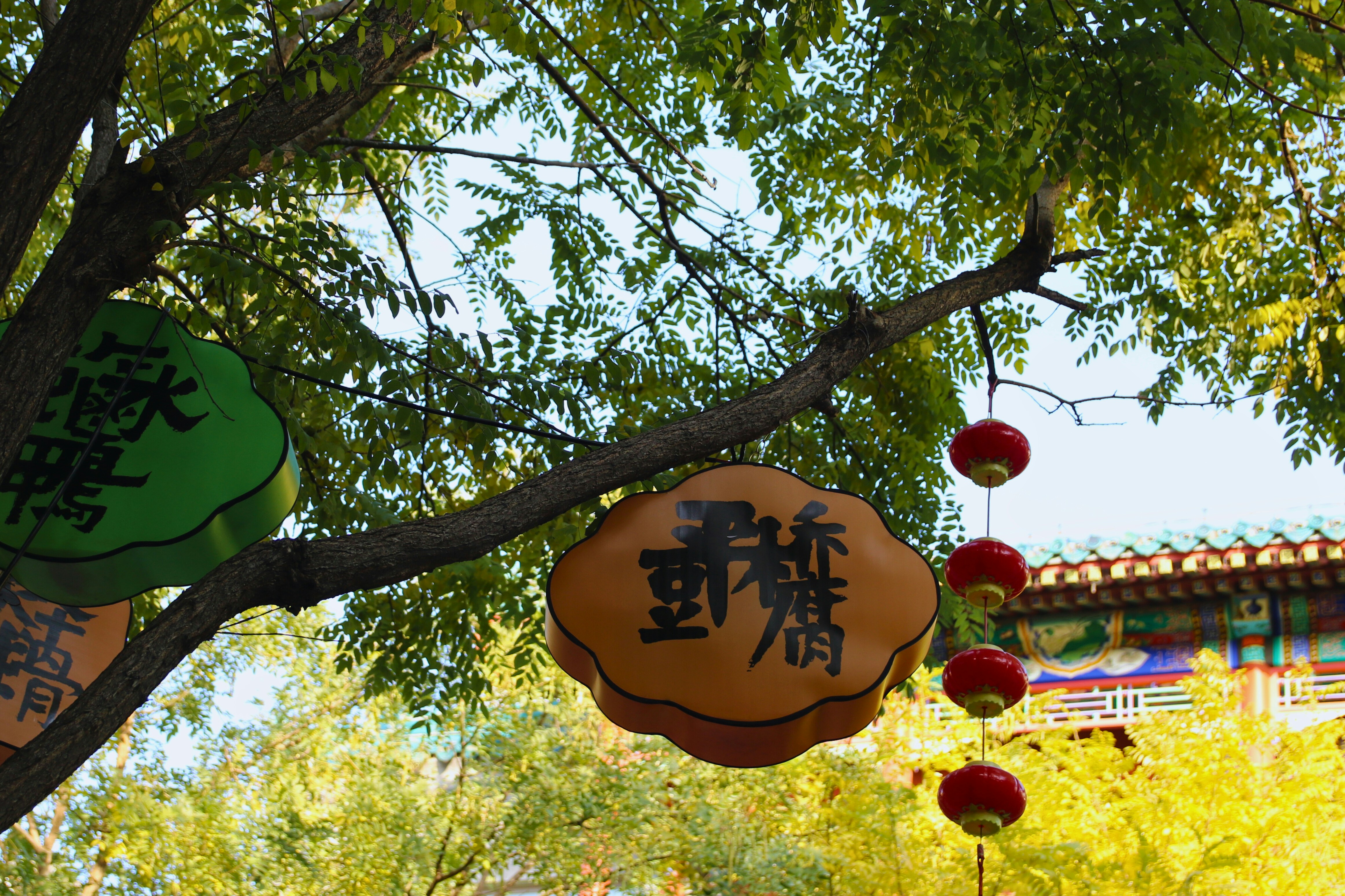 Photo by brunafisantos