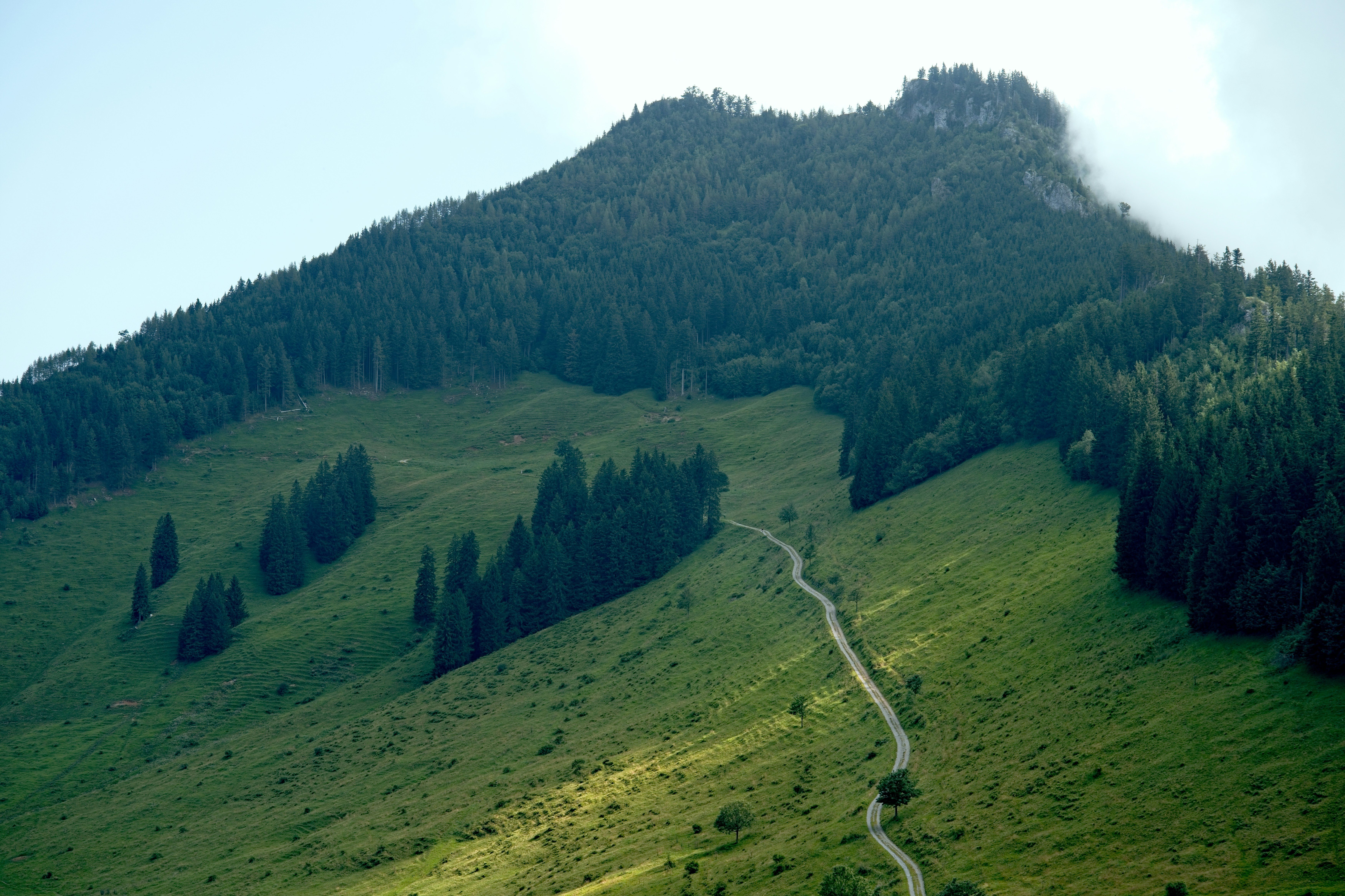 Trail landscape for Tarawera Ultramarathon