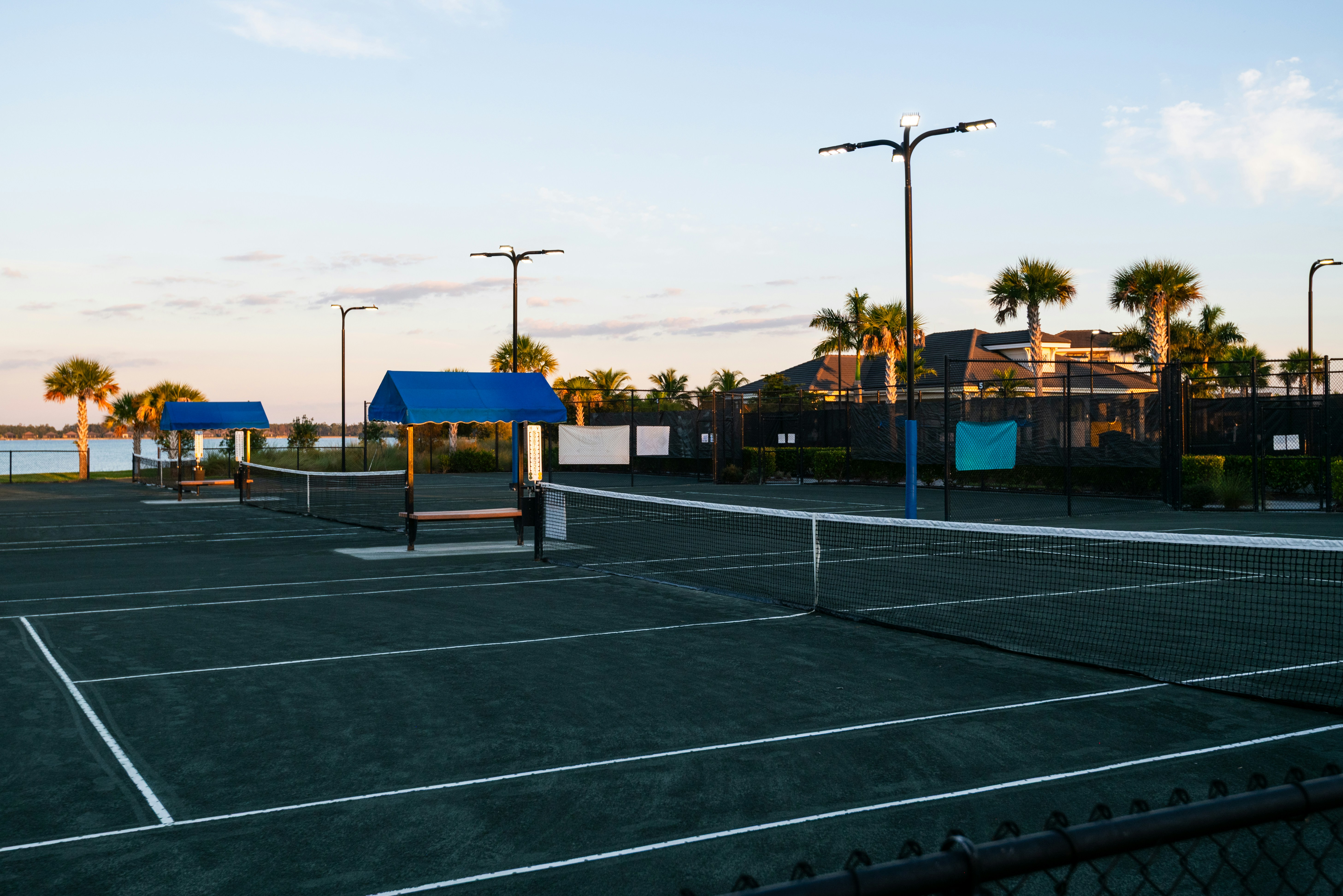 ヤシの木と澄んだ空が広がる空っぽのテニスコート。