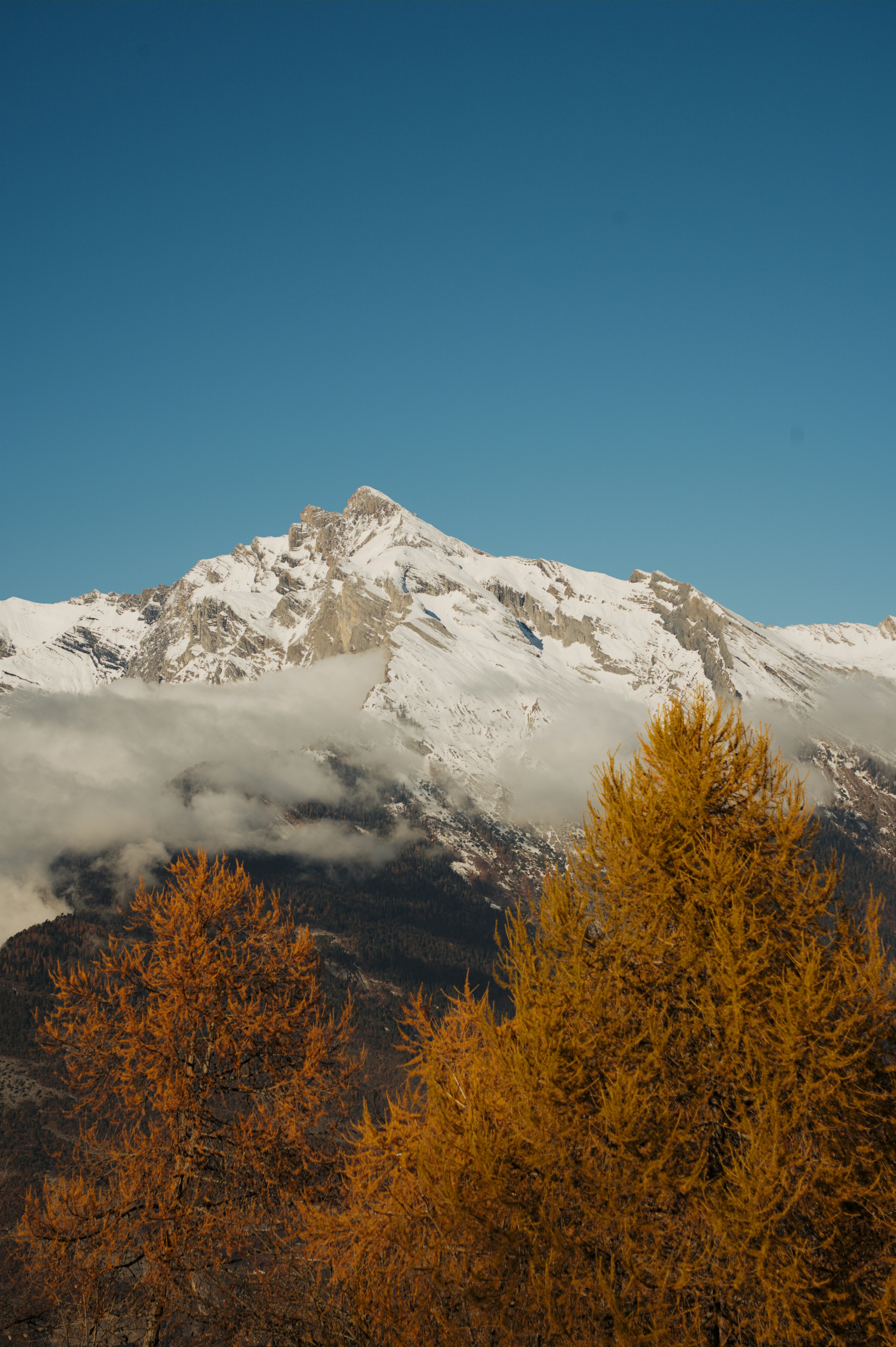 Photo by felixvericel