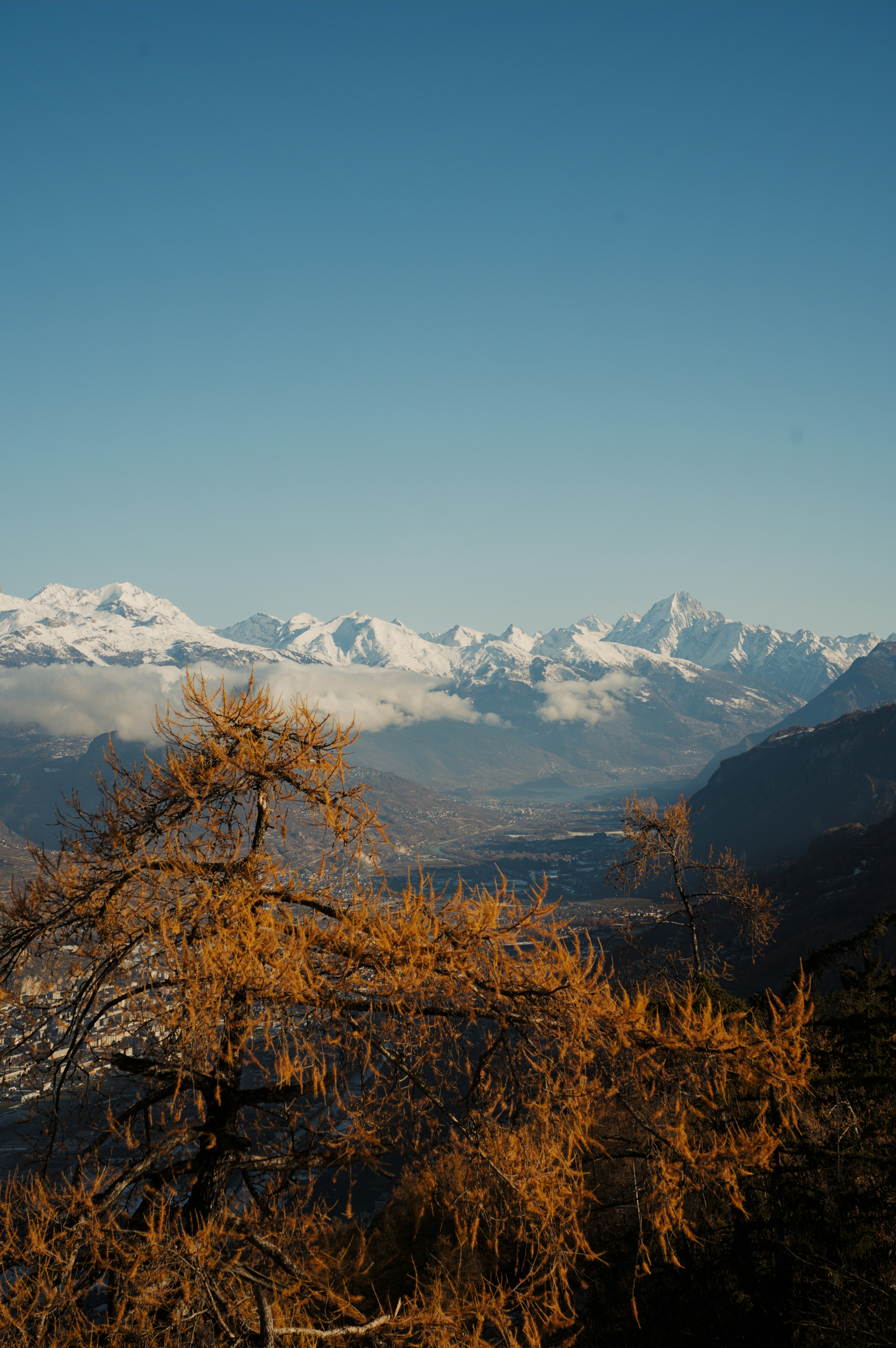 Photo by felixvericel