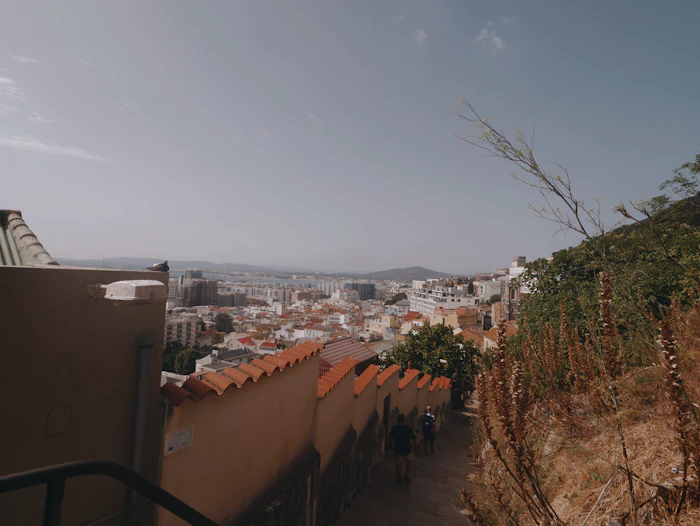 Brunch With A View