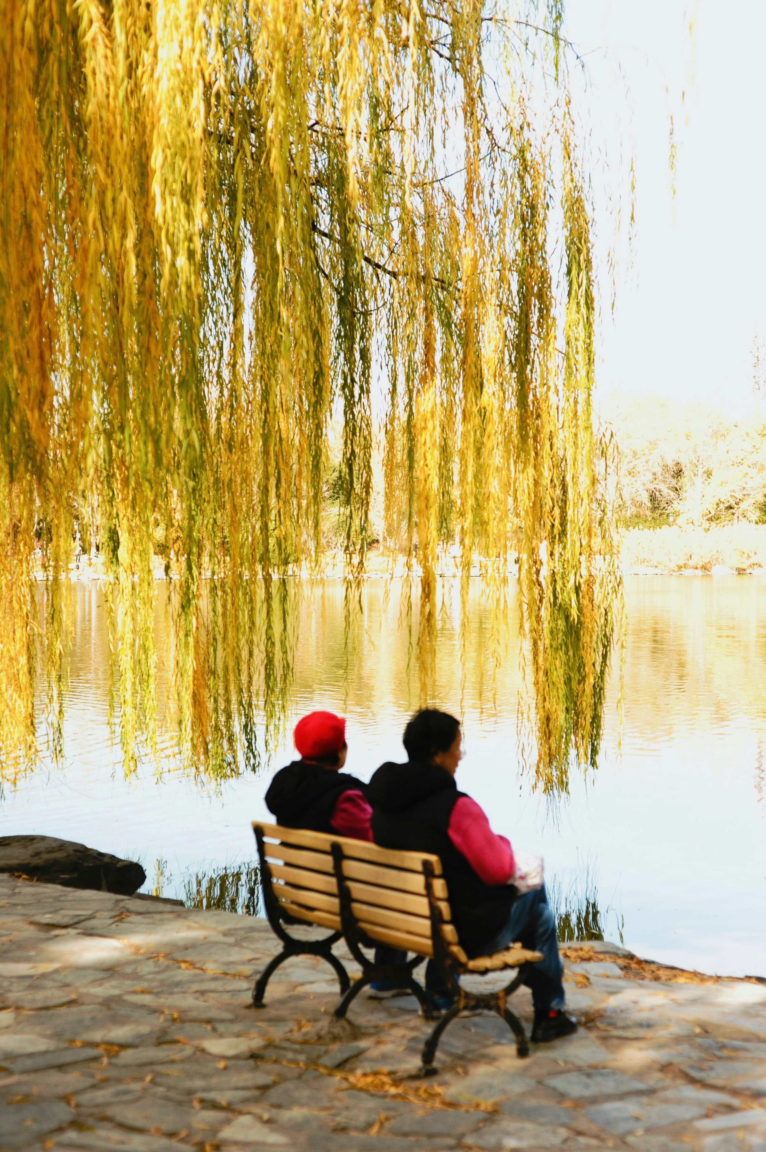 Living in the Present While Facing Dementia’s Future