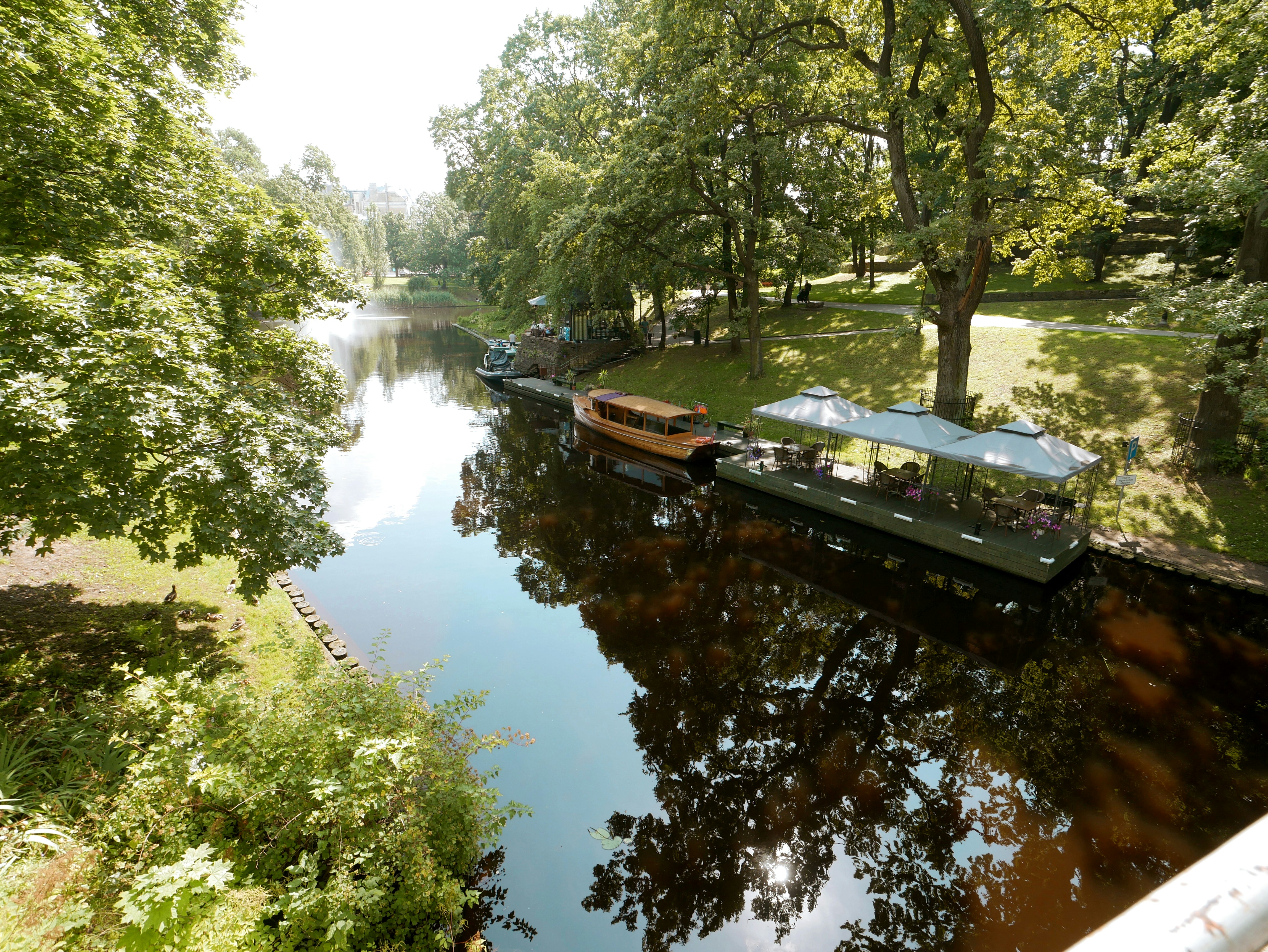 Boats docked on a calm river surrounded by trees.