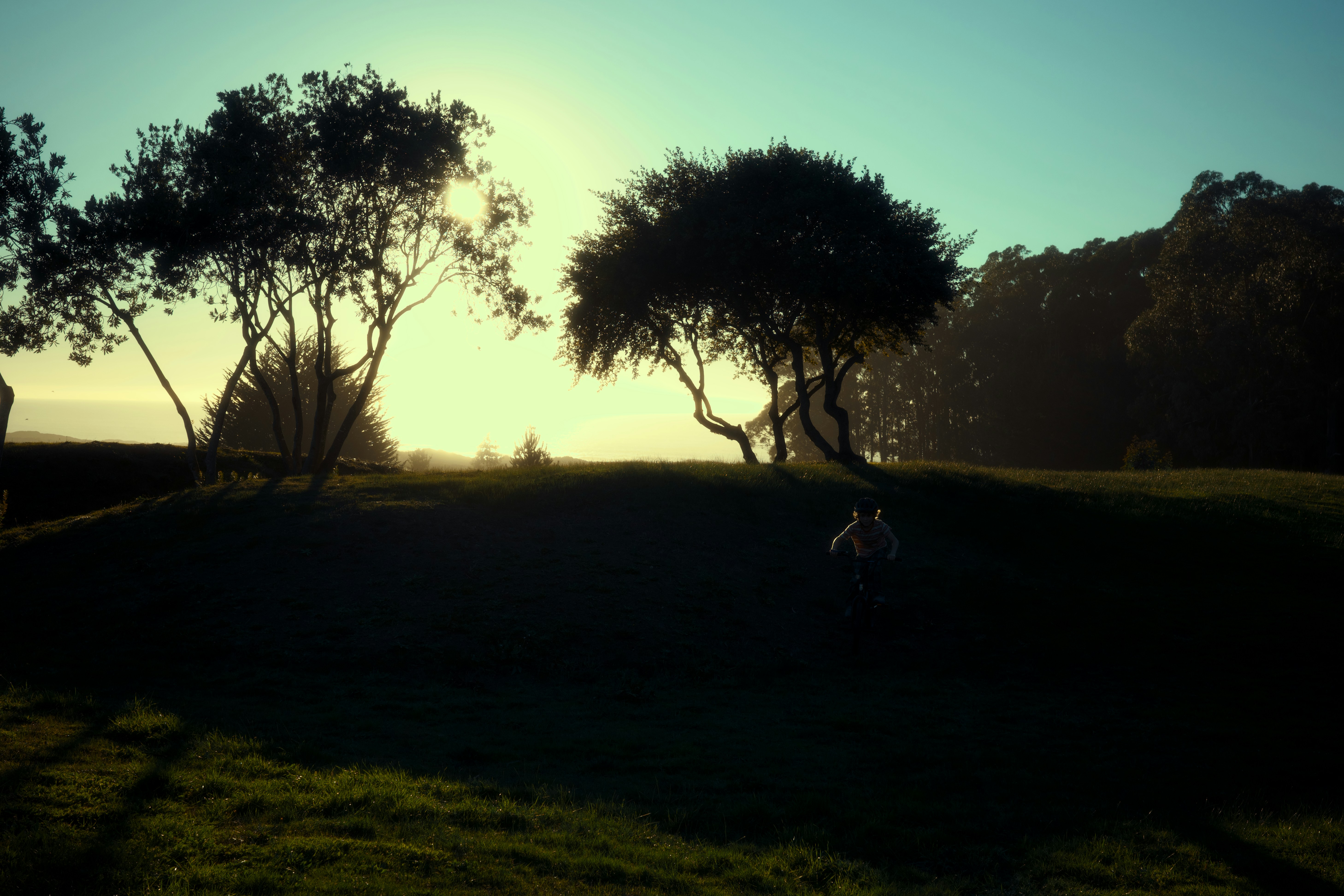 Woman doing yoga outdoors at sunrise in a serene park