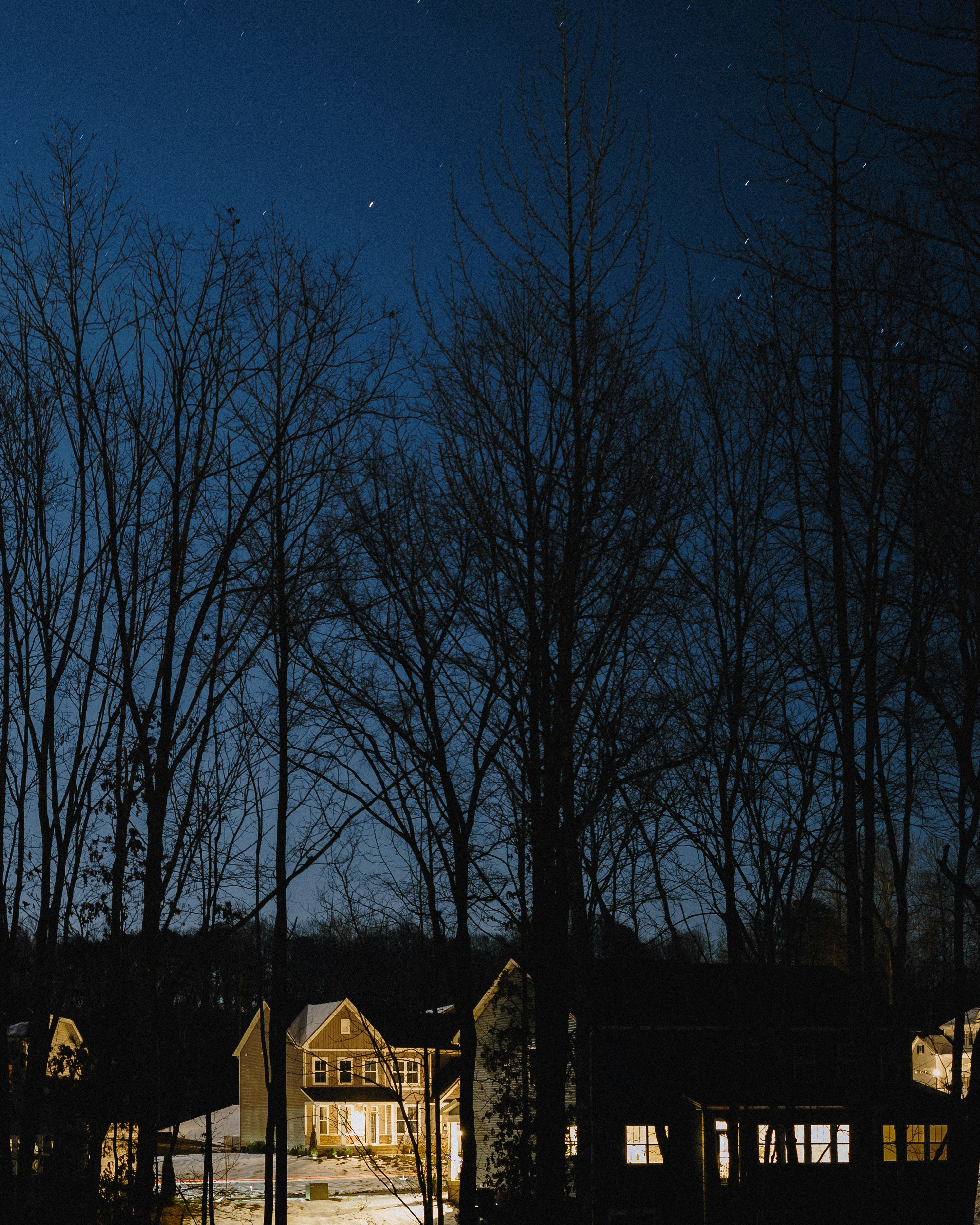 Houses nestled amongst bare trees under a starry night.