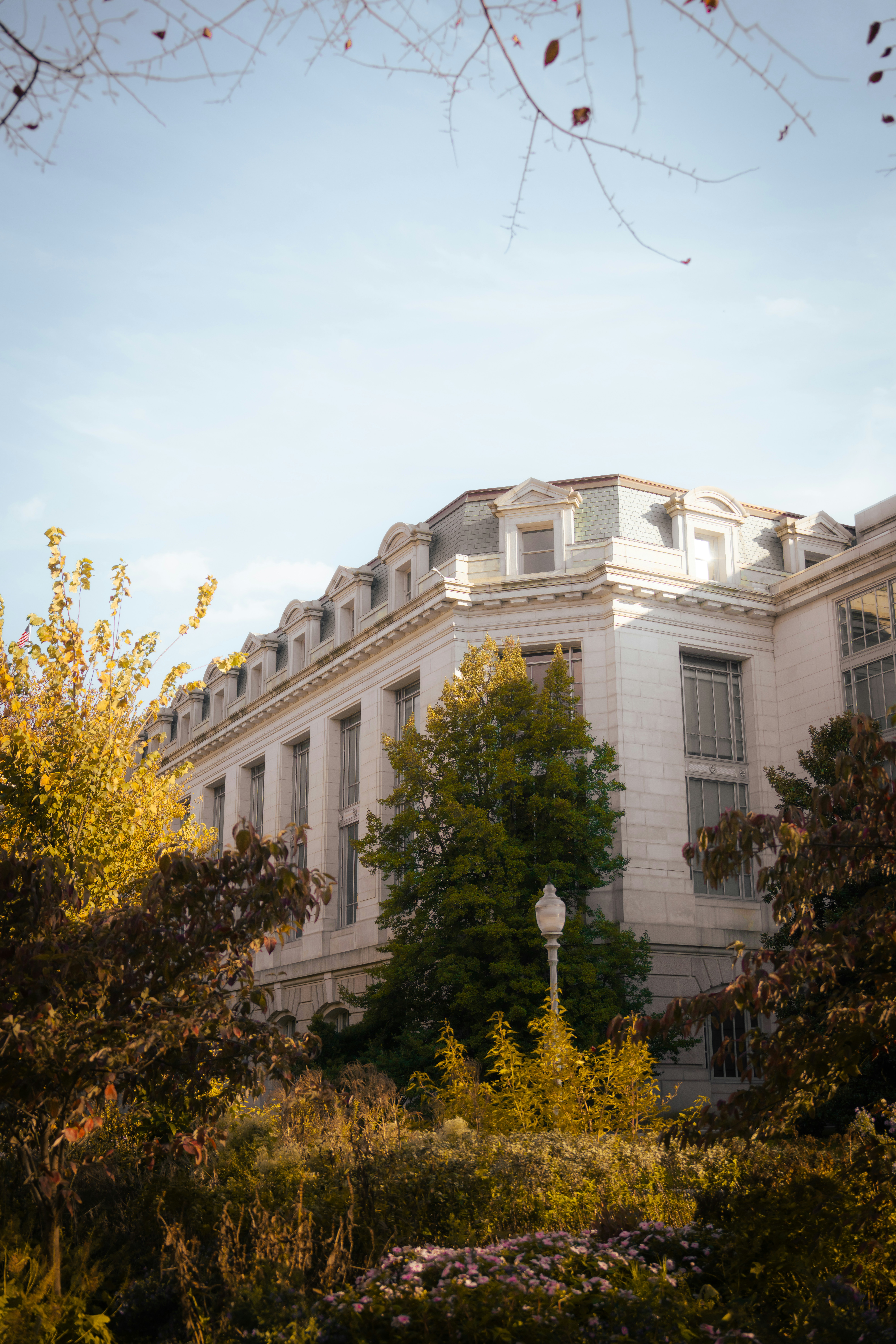 Photo by damiankravchuk