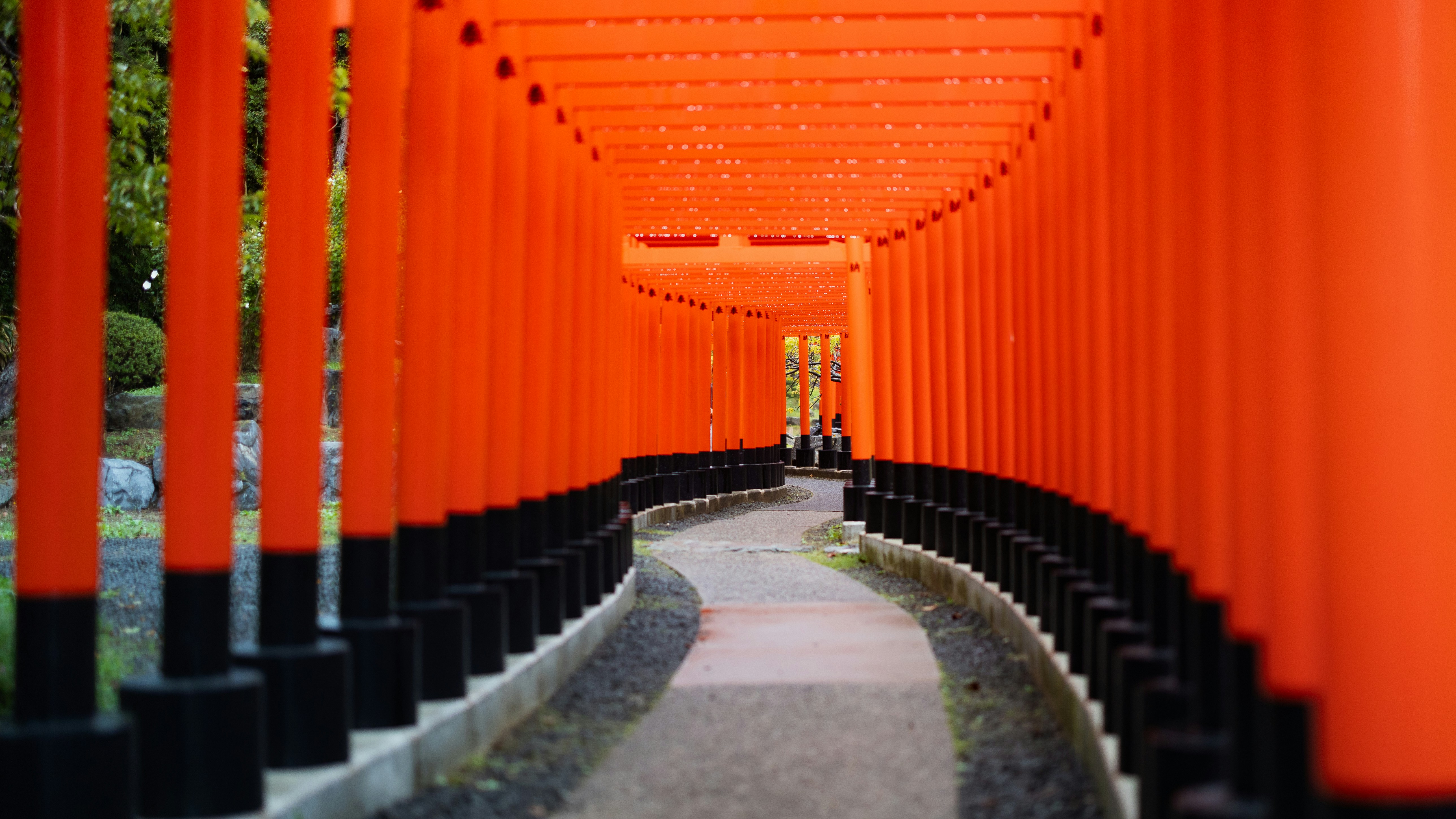 Orange torii gates form a pathway through Japanese forest. Photo by Marek Piwnicki on Unsplash.