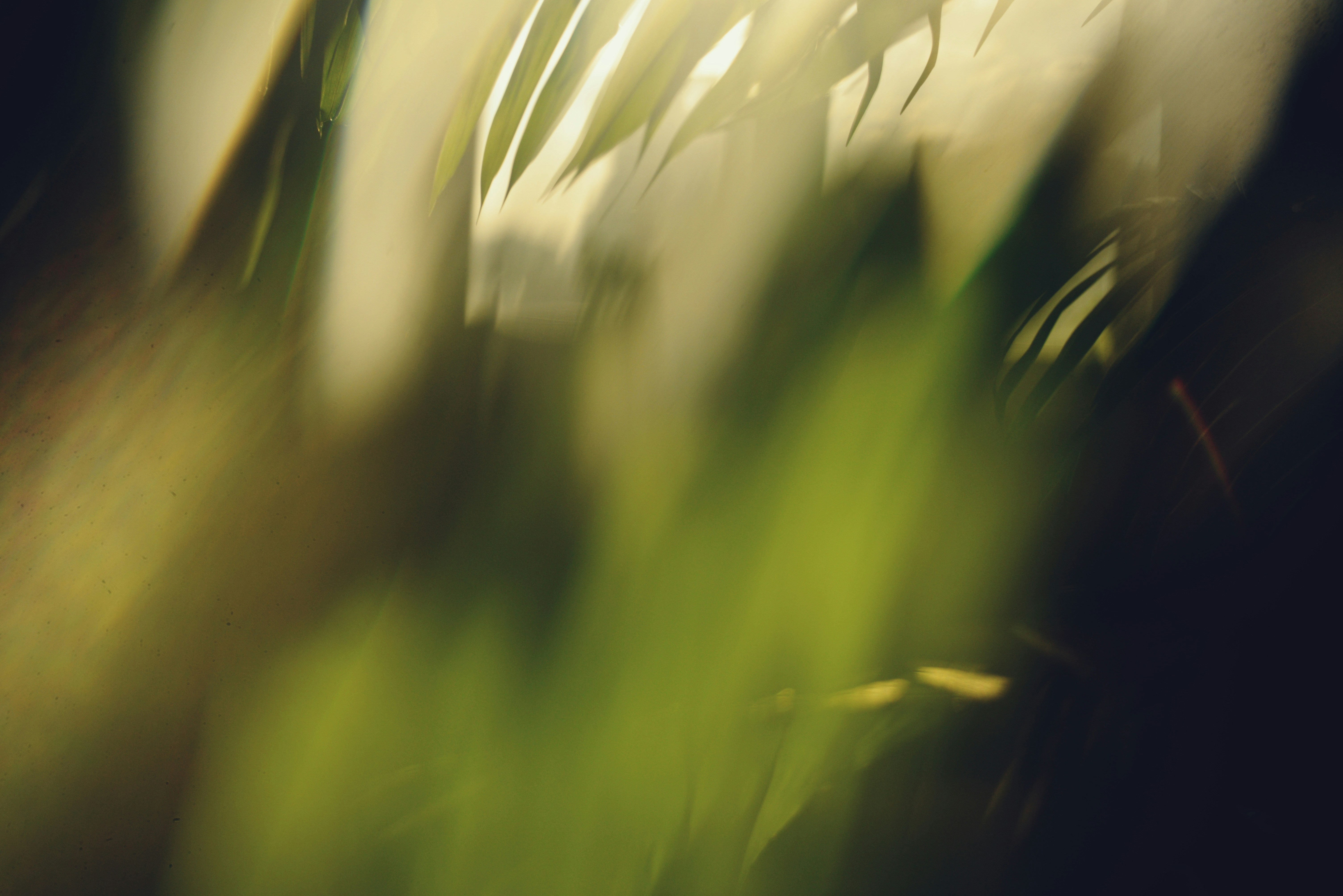 Prepare To Reveal The Secrets Behind How Skilled Cleansers Revitalize Used Carpets-- Check Out The Methods That Can Enhance Your Home!