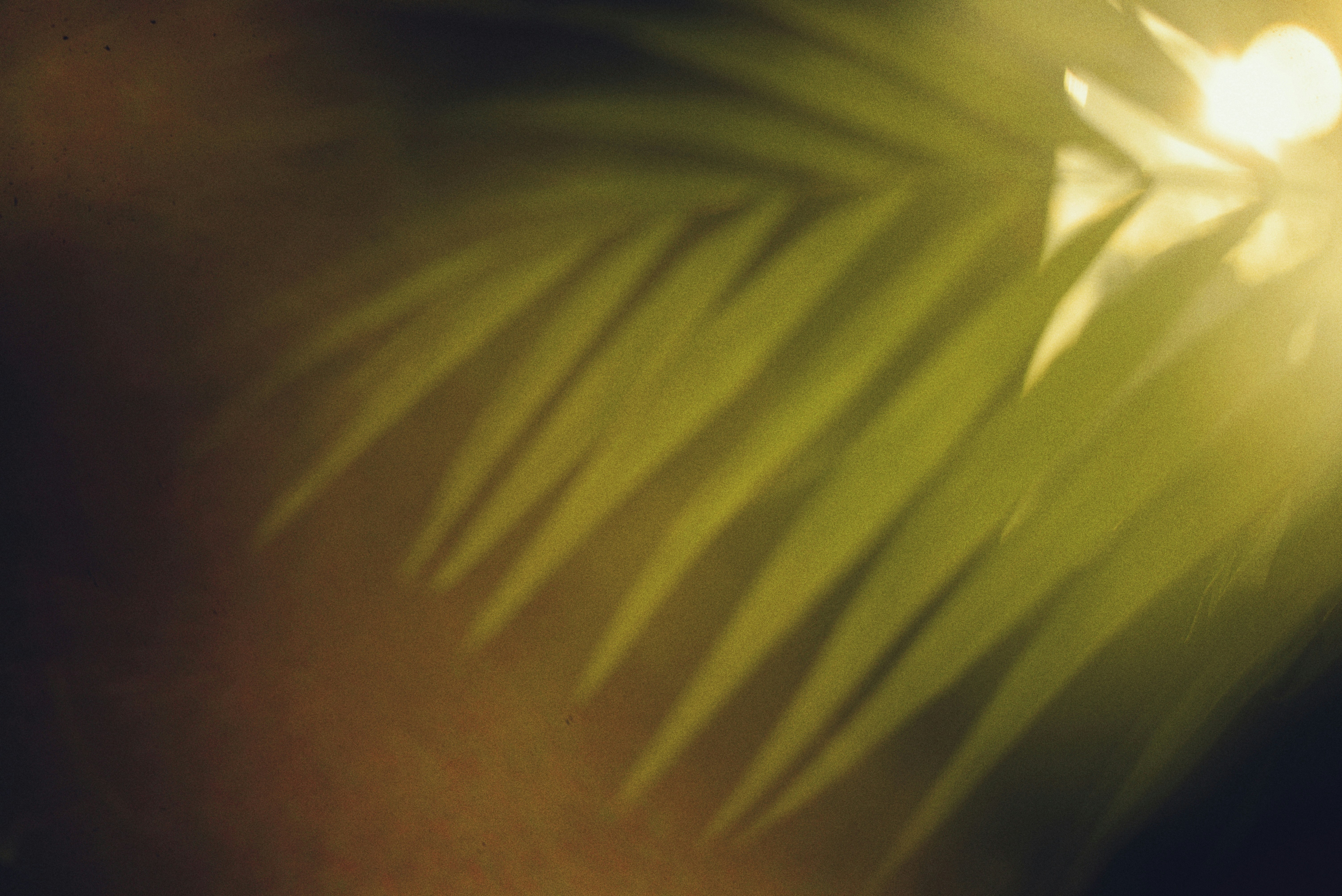 Photo by cherstve_pechivo