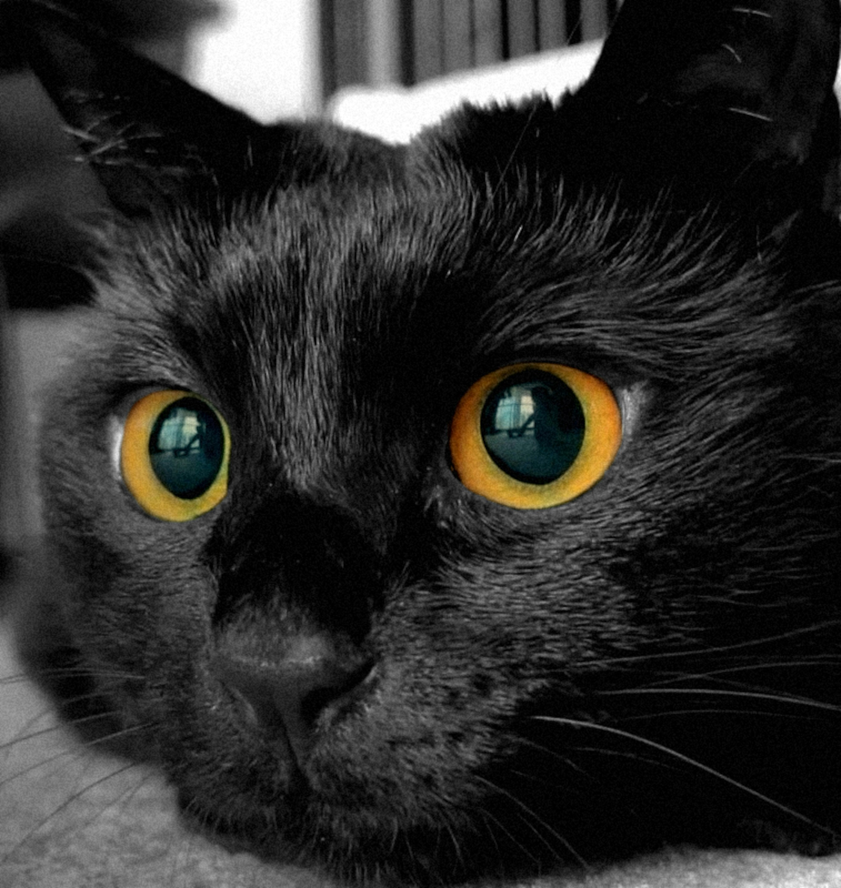Raffael Gabel (@rgaconceptcat) | Komunitas Foto Unsplash