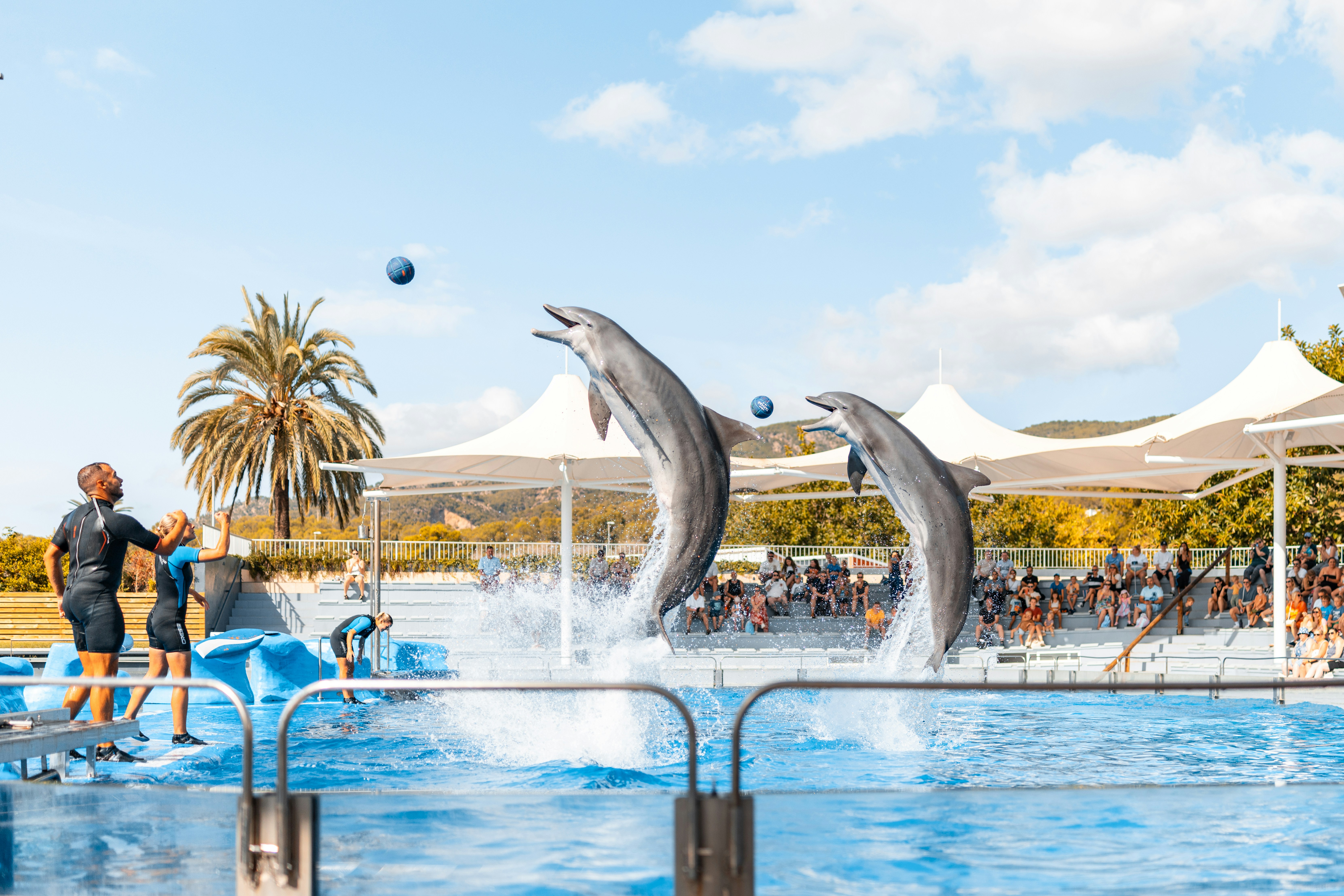 Safety-First Family Shows (2026): Noise, Sightlines and Child-Friendly Staging