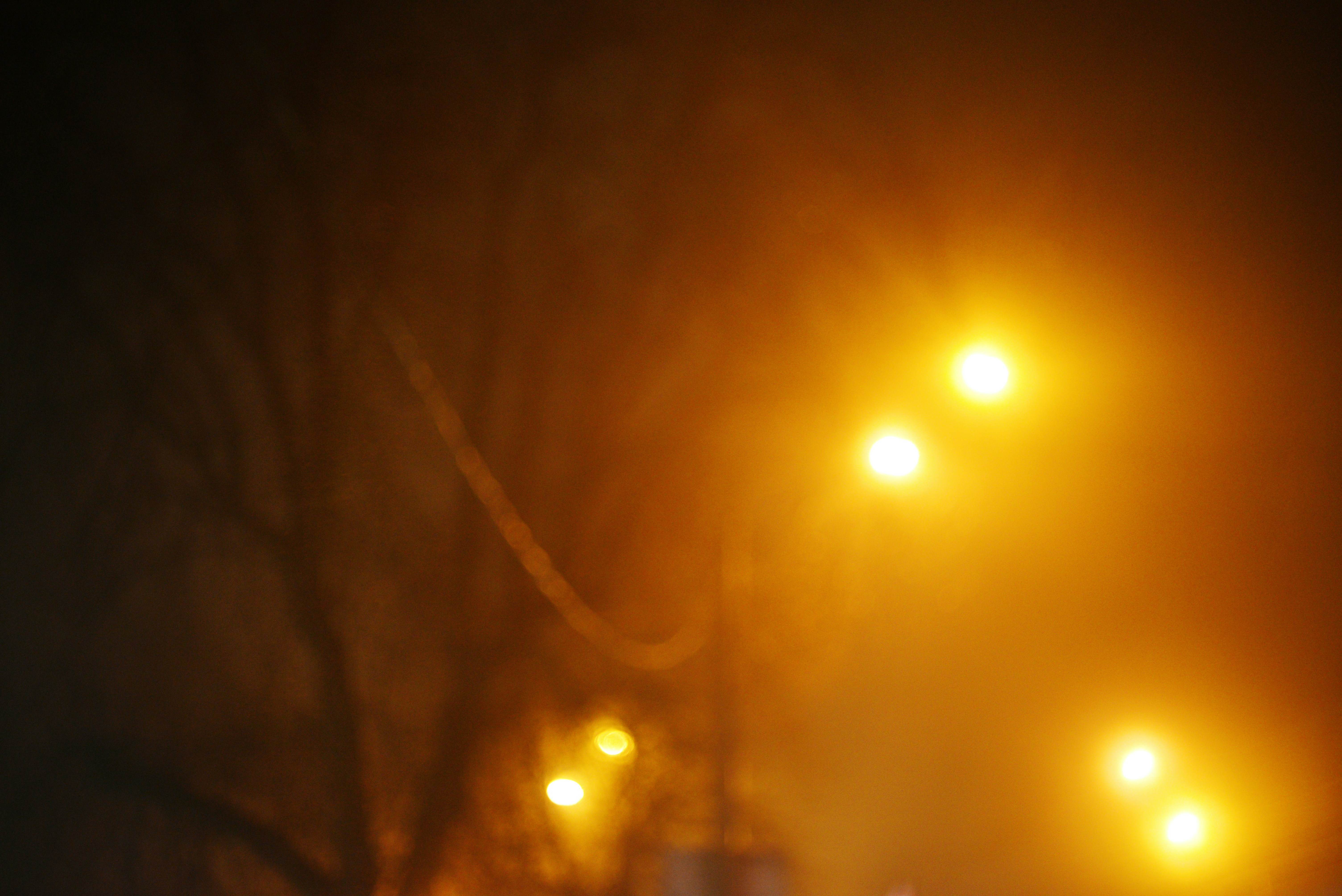 Photo by cherstve_pechivo