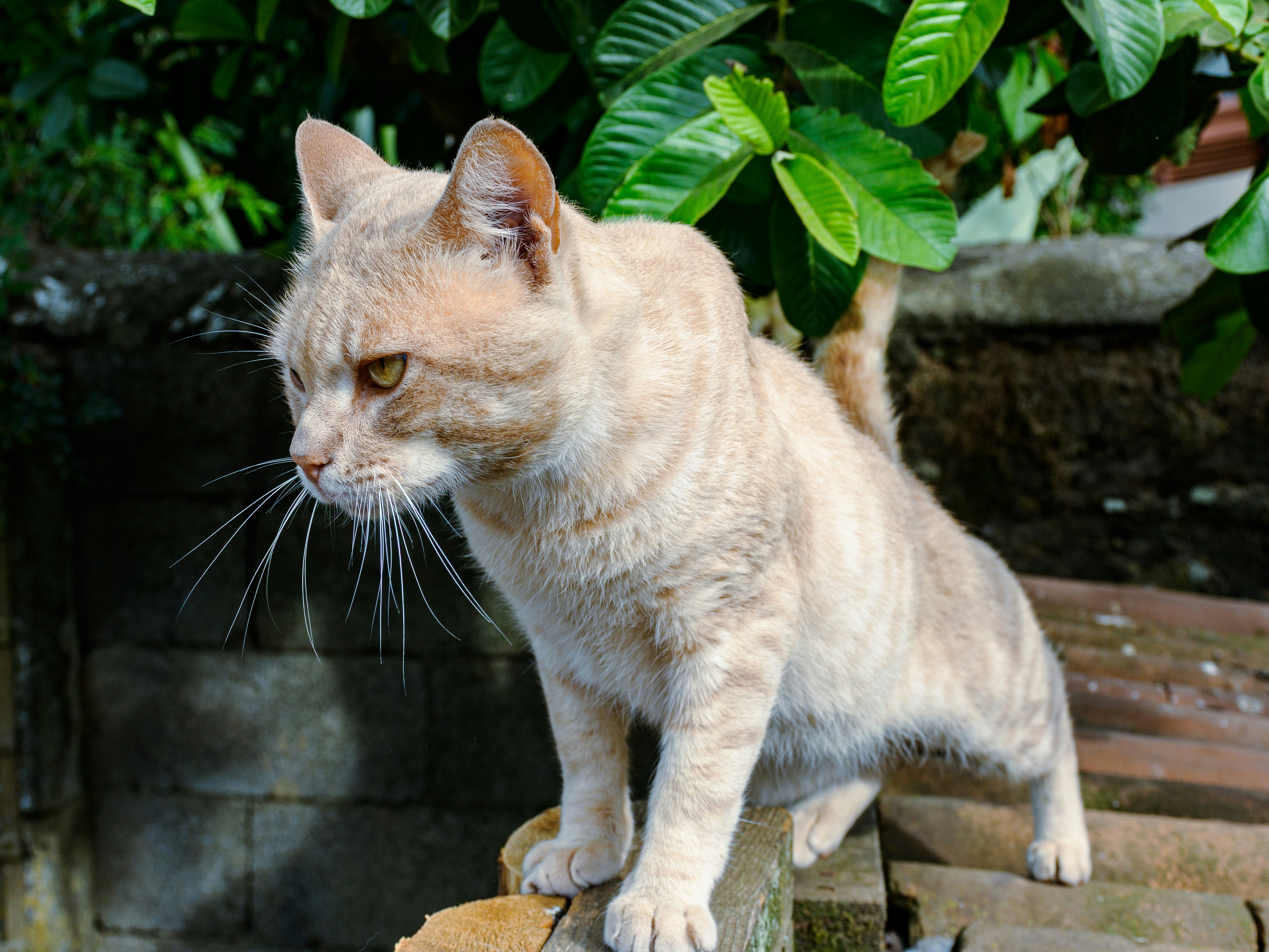 Photo by clovegrove7