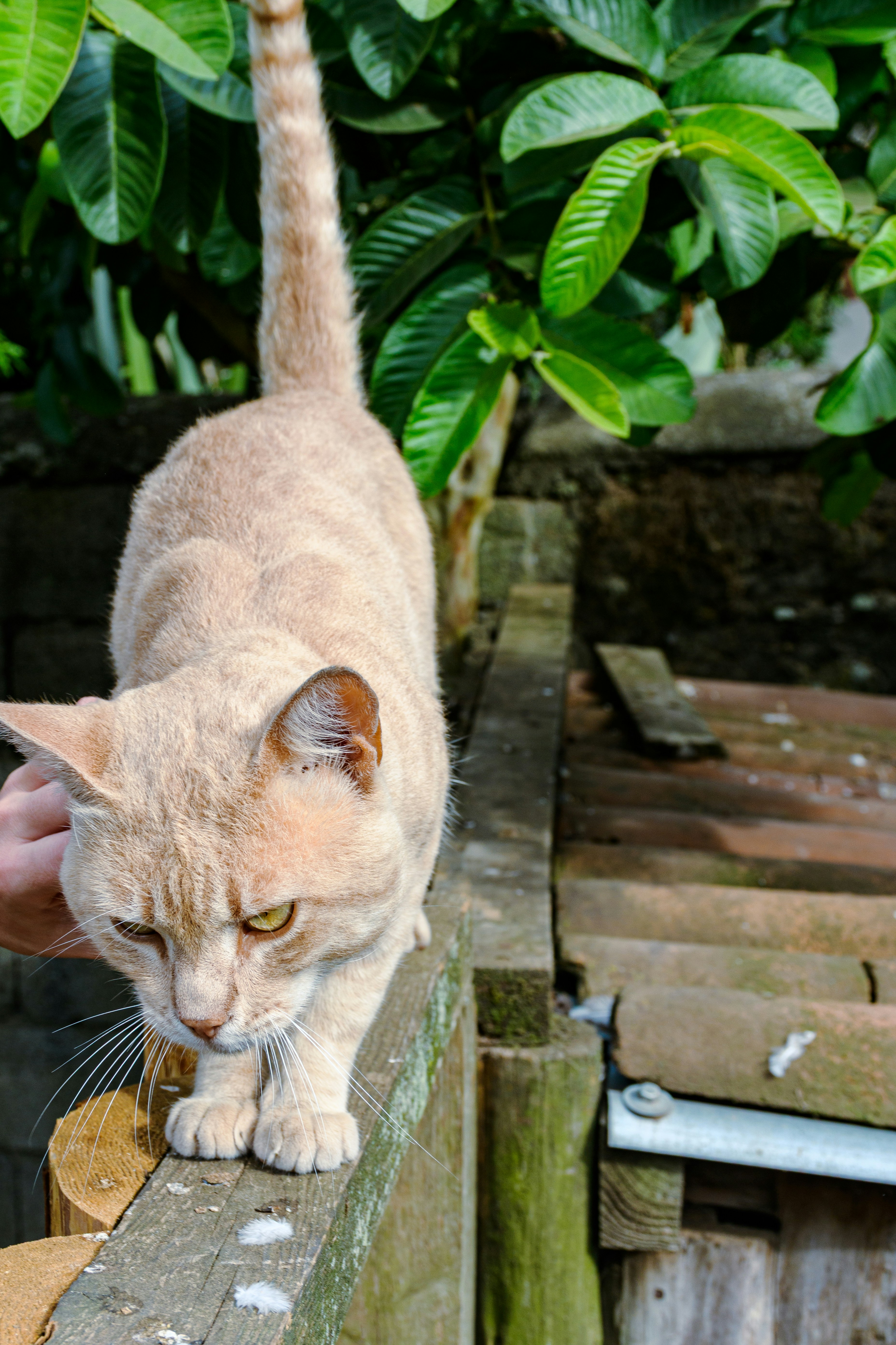 Photo by clovegrove7