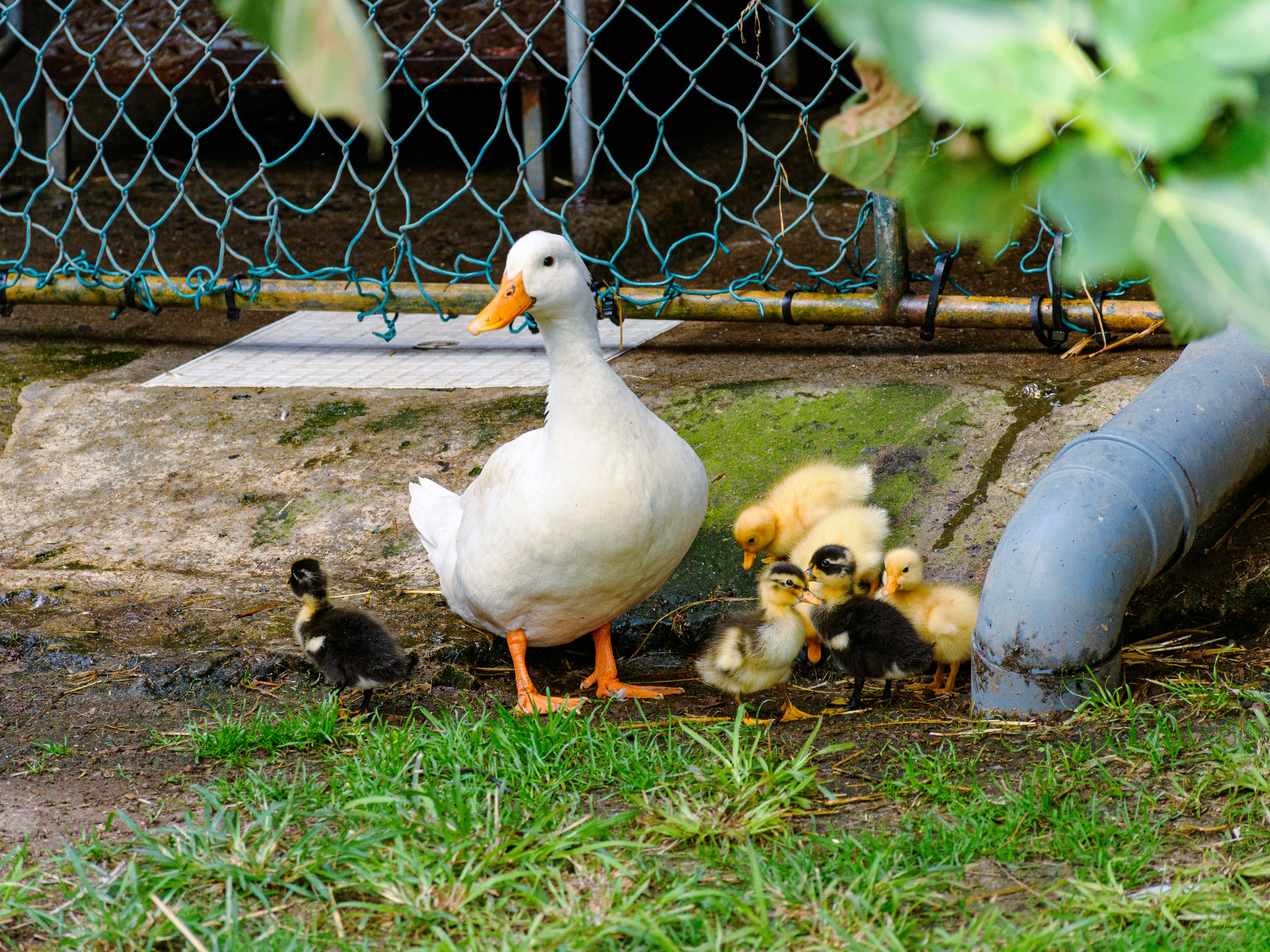 Photo by clovegrove7