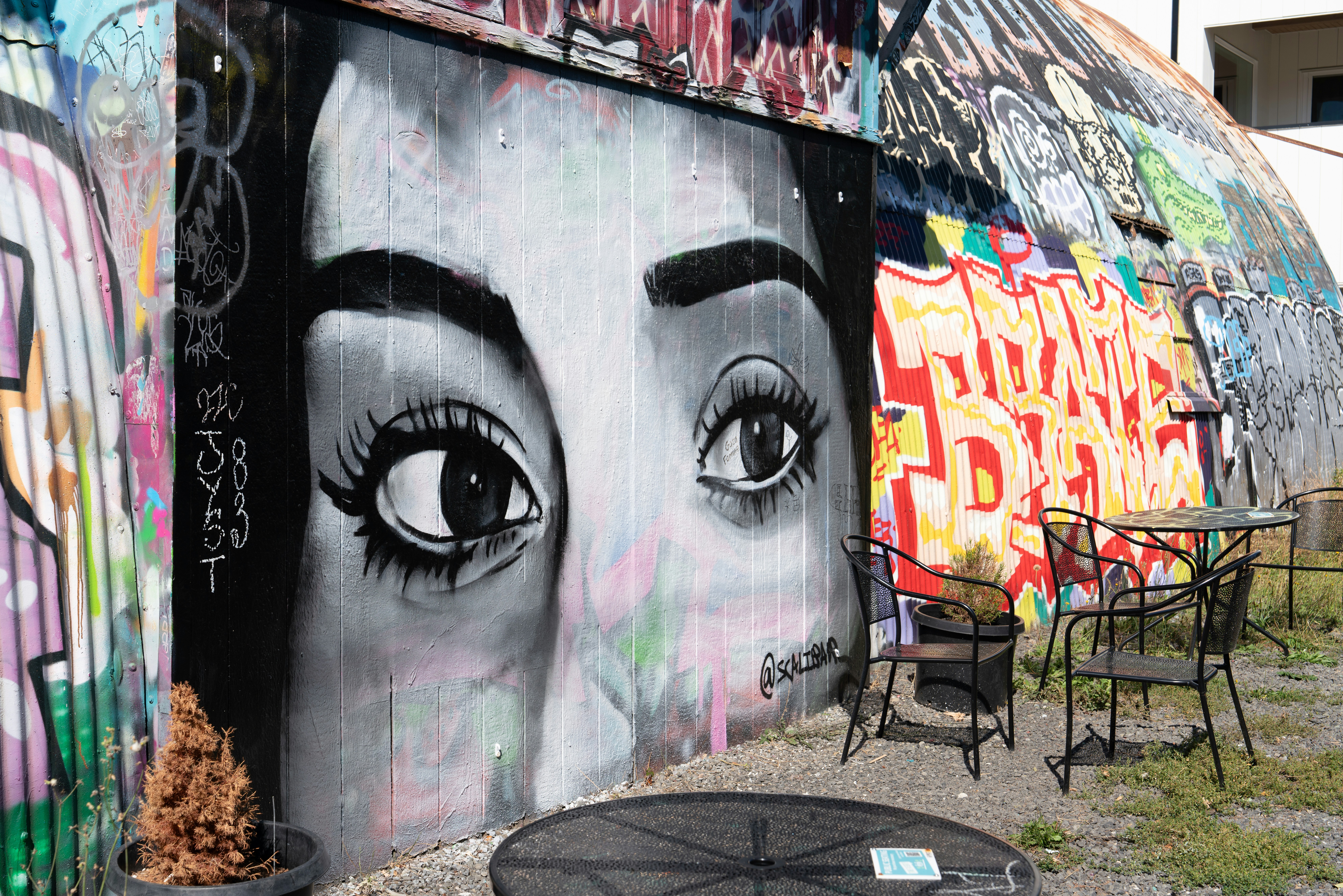 Photo by fortuitousfoto