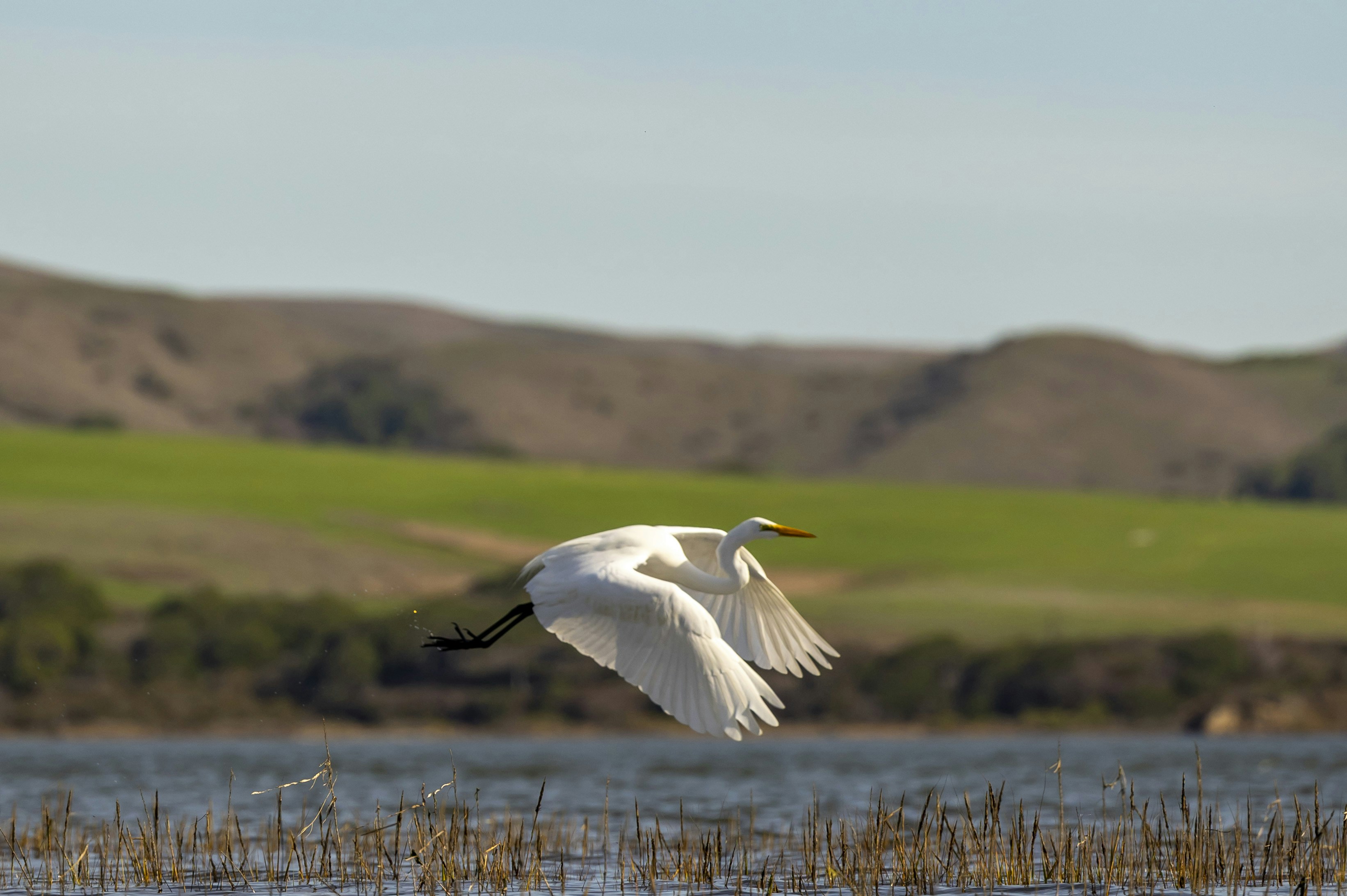 Photo by leo_visions_