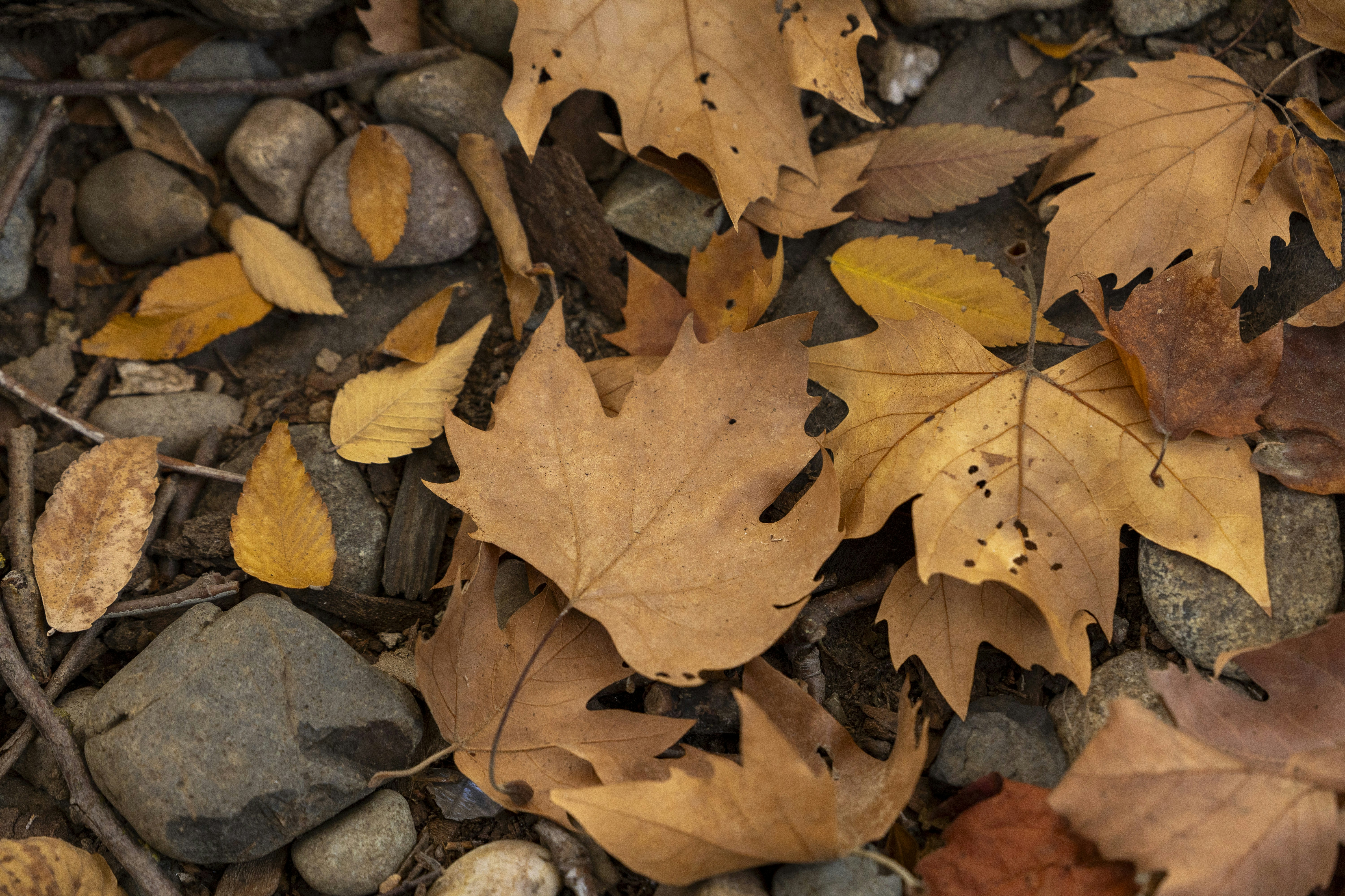 Photo by leo_visions_