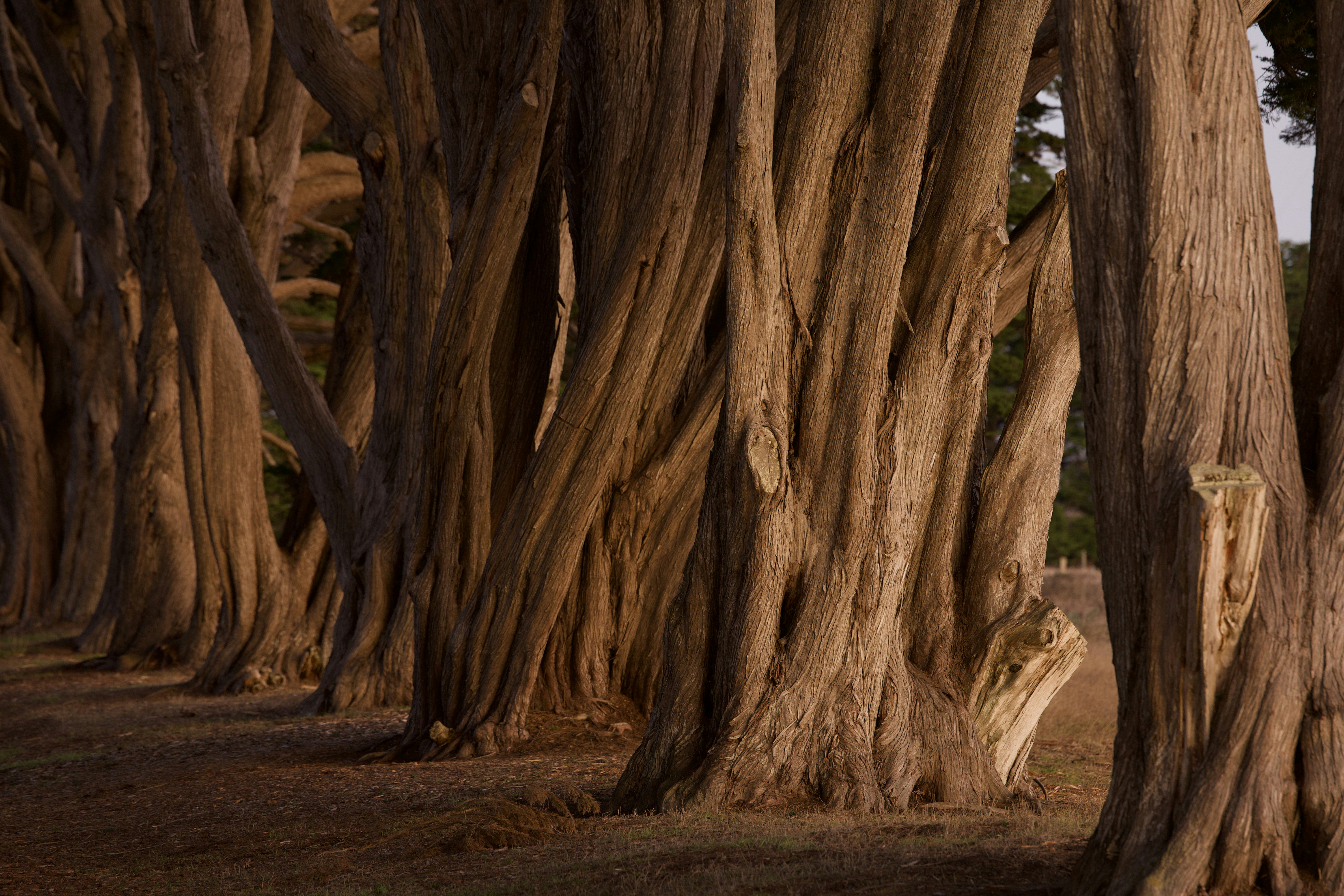 Photo by leo_visions_