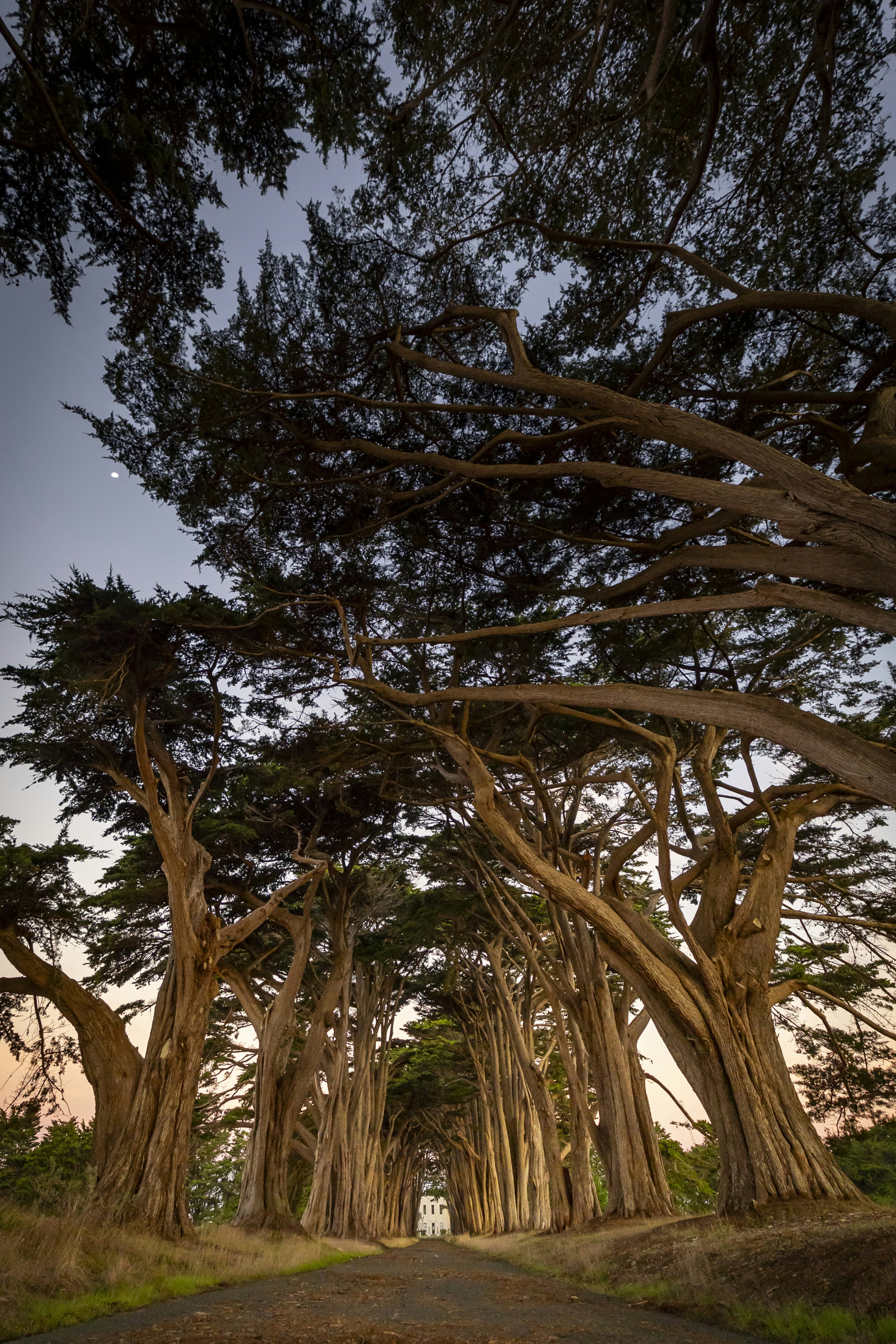 Photo by leo_visions_