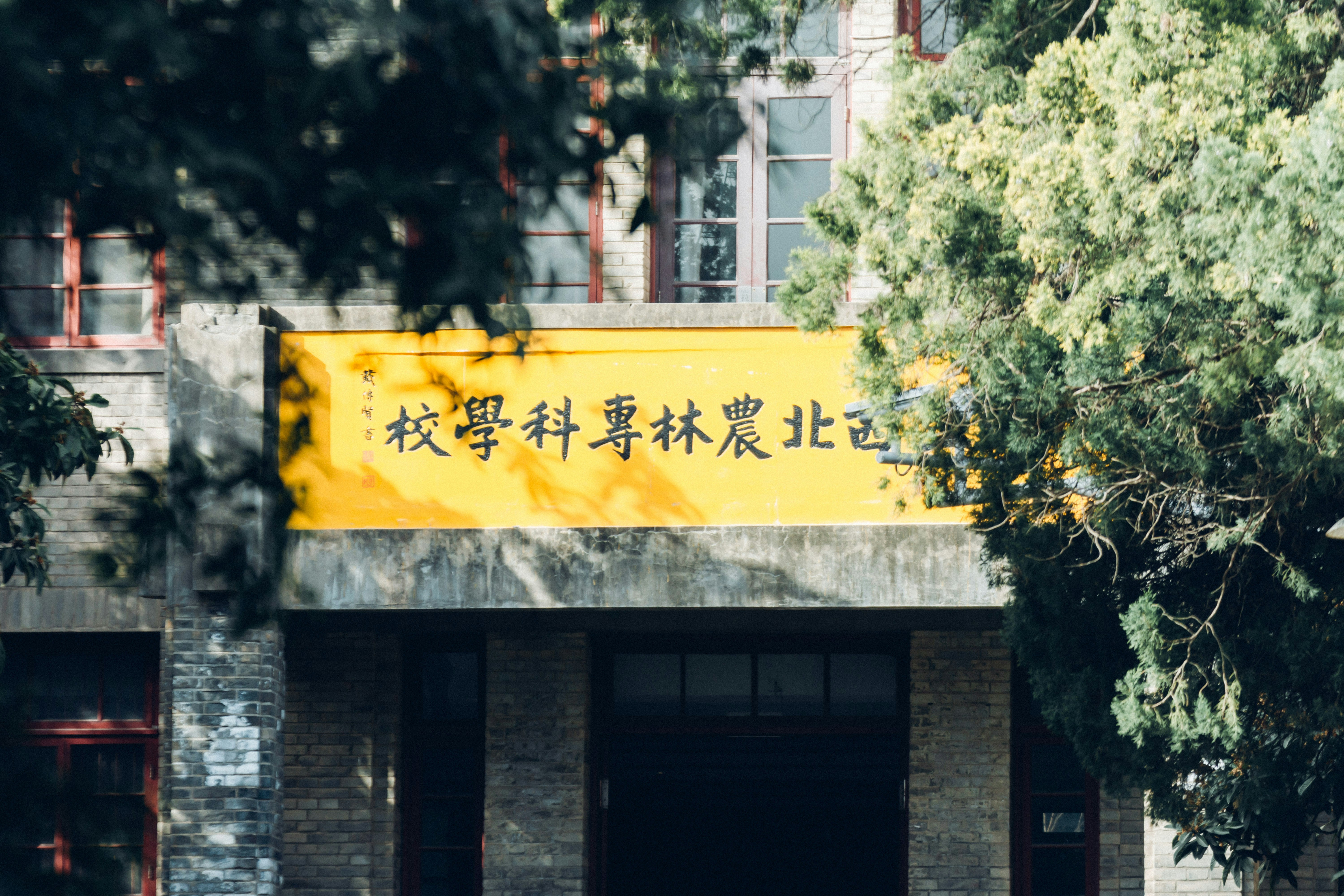 Building with yellow sign and trees in front of trees