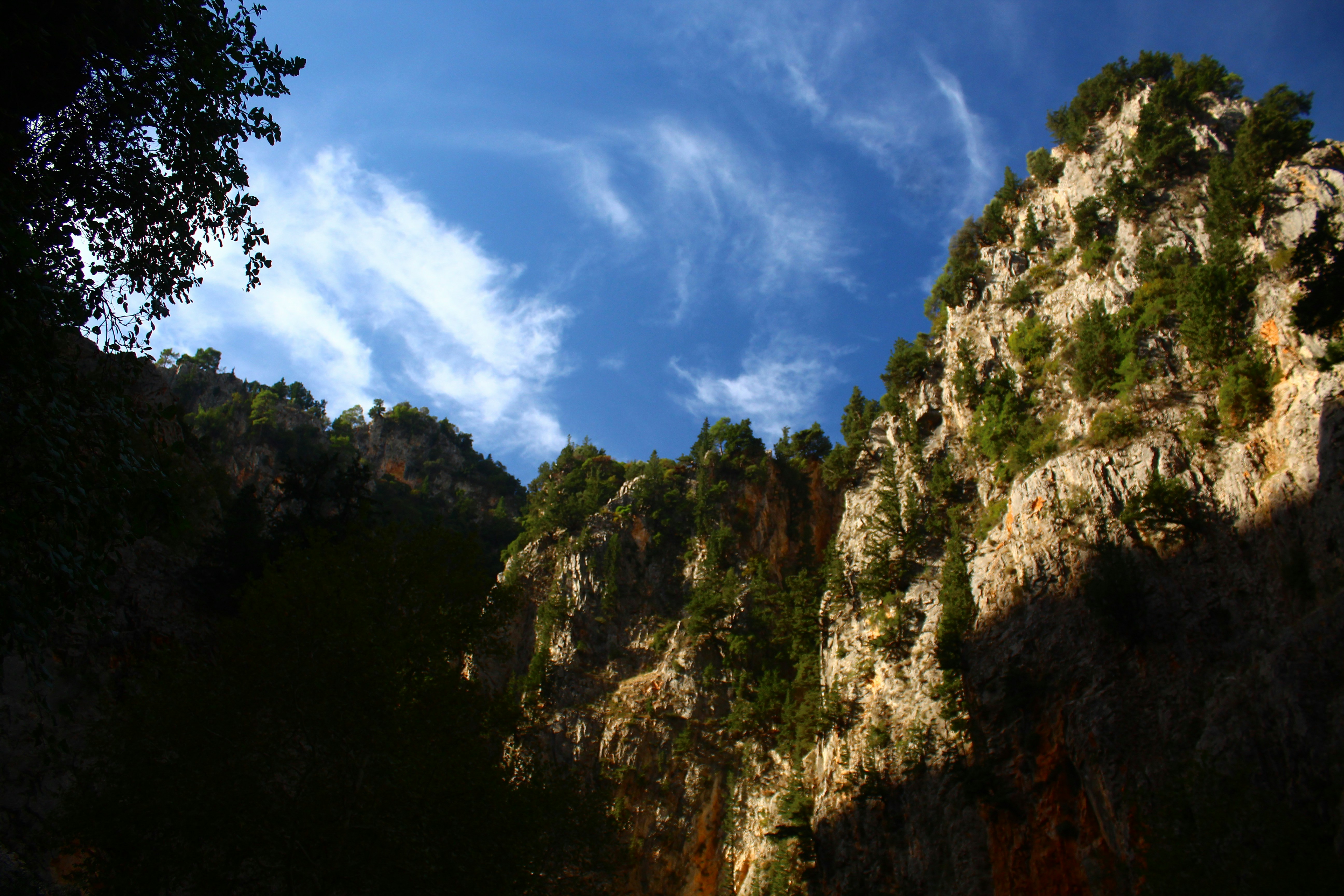 Rocky cliffs with green trees under blue sky