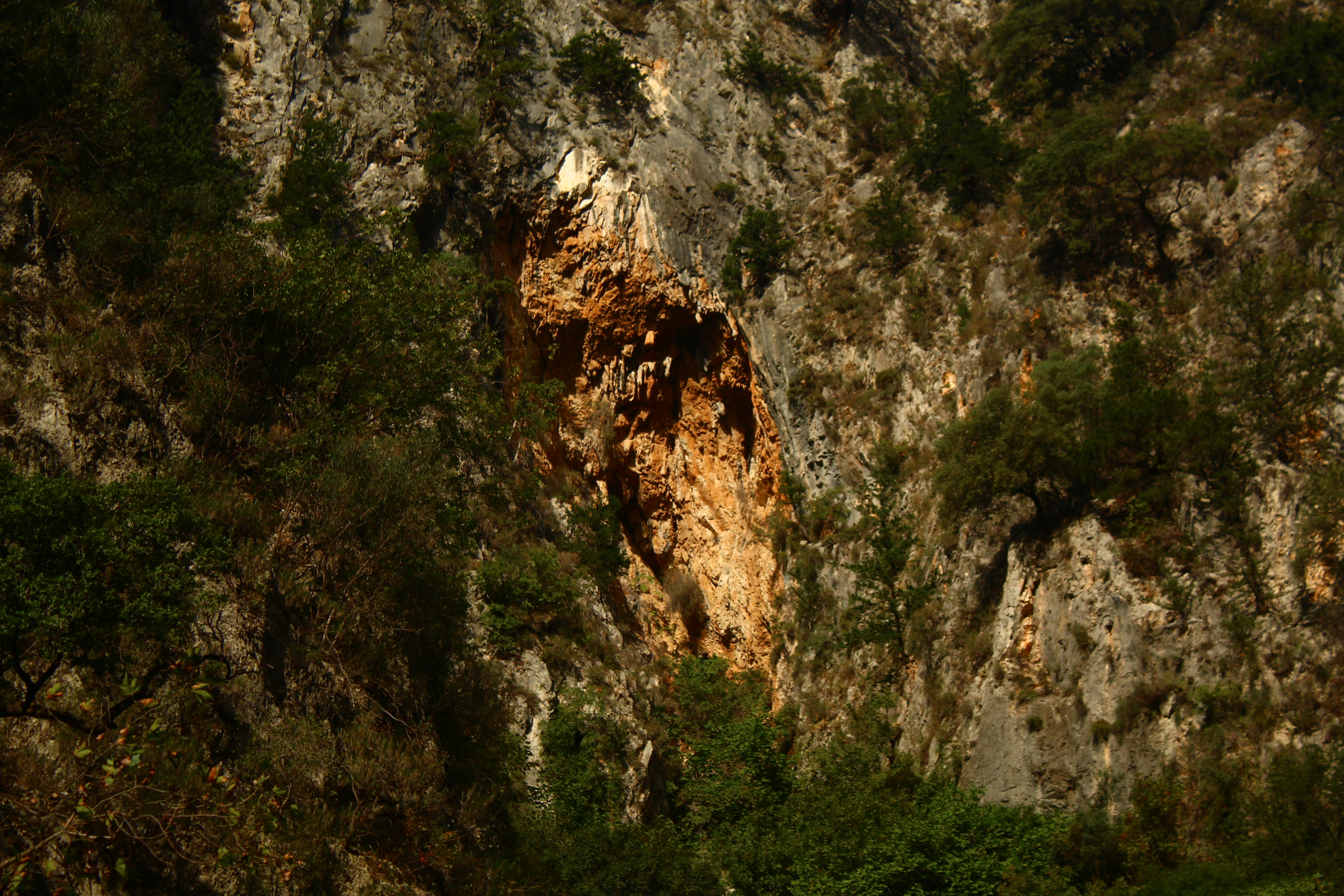 Rocky cliff face with lush green foliage.