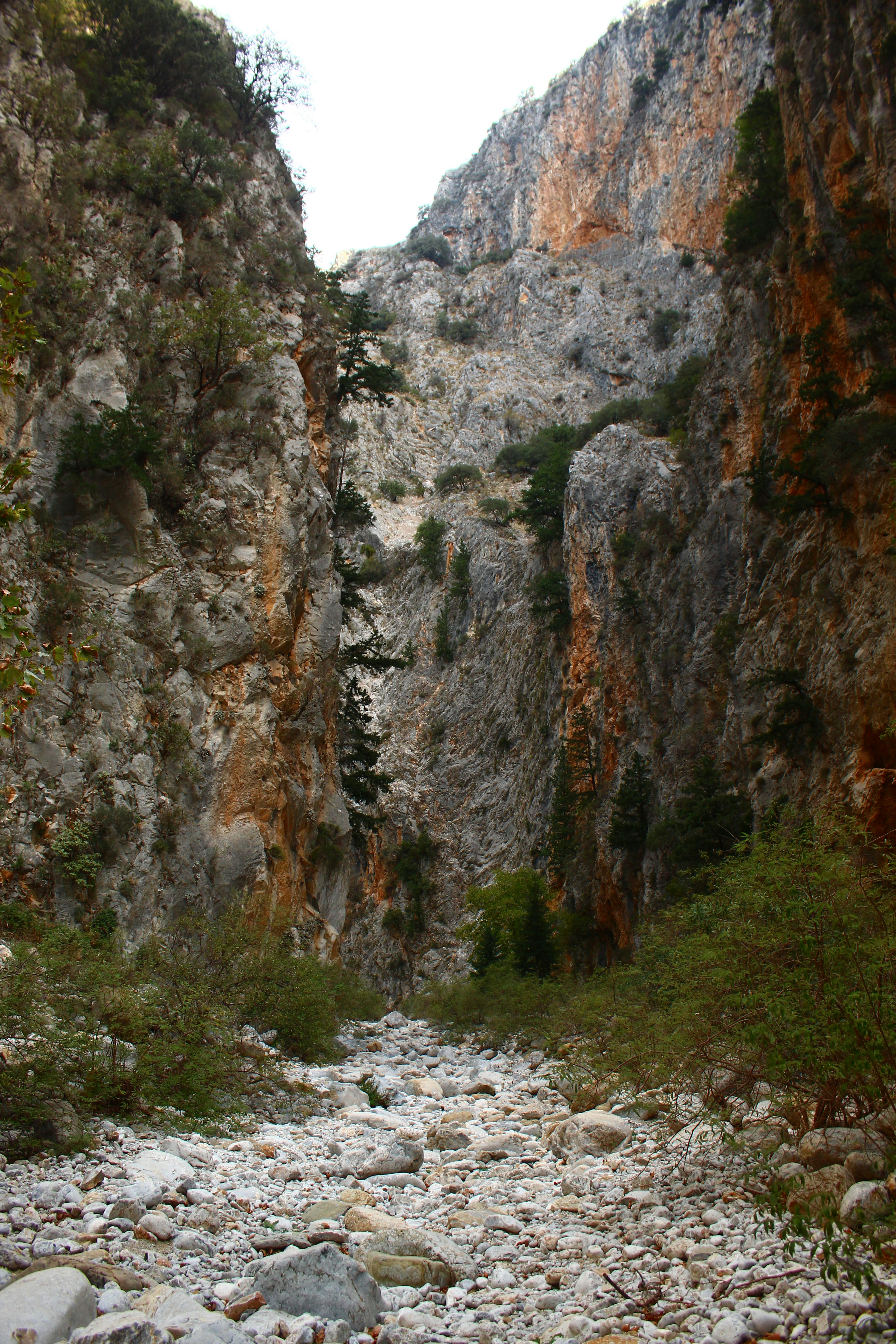 Rocky gorge with sparse vegetation and dry streambed