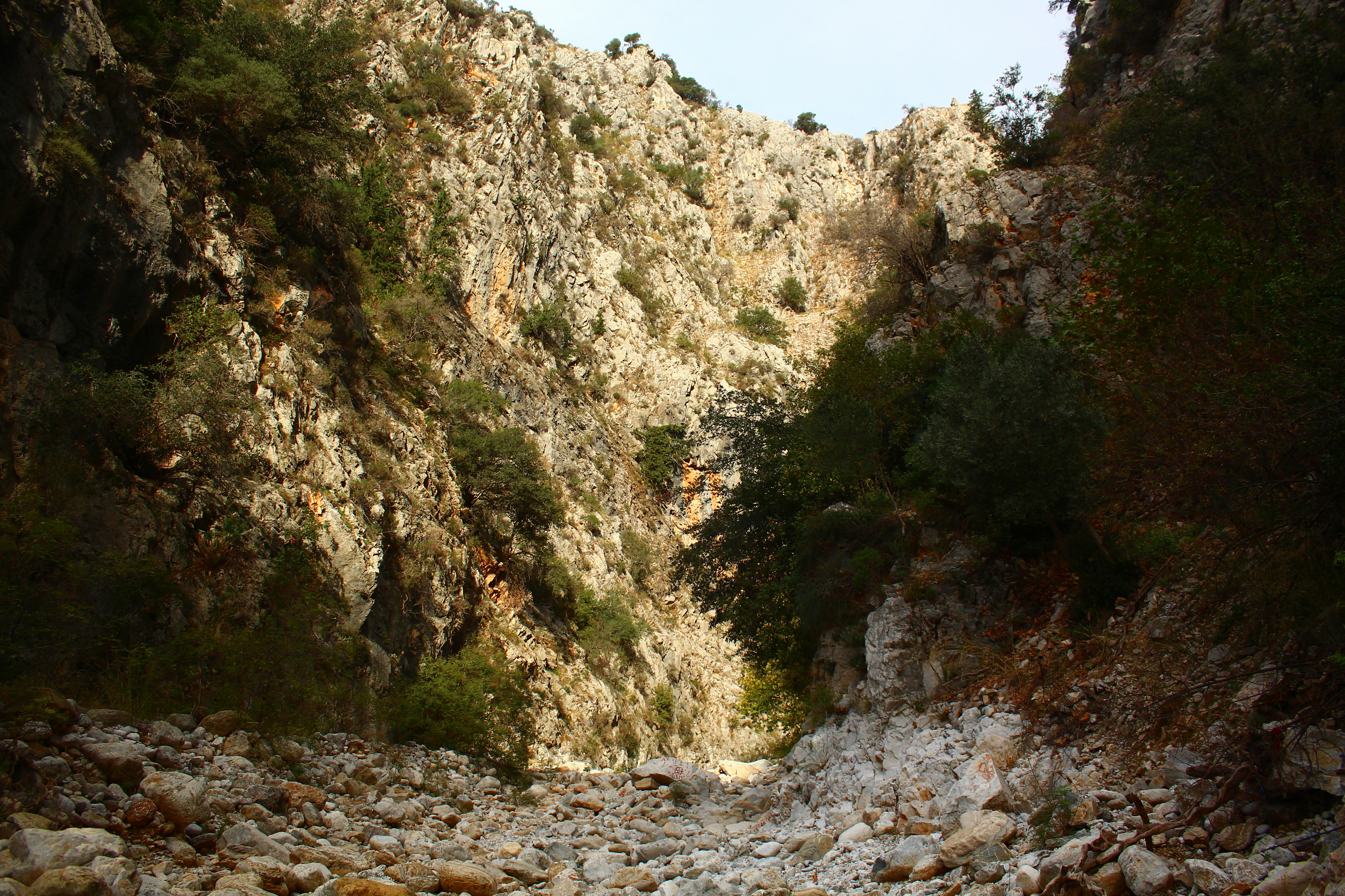 Dry rocky canyon with sparse vegetation