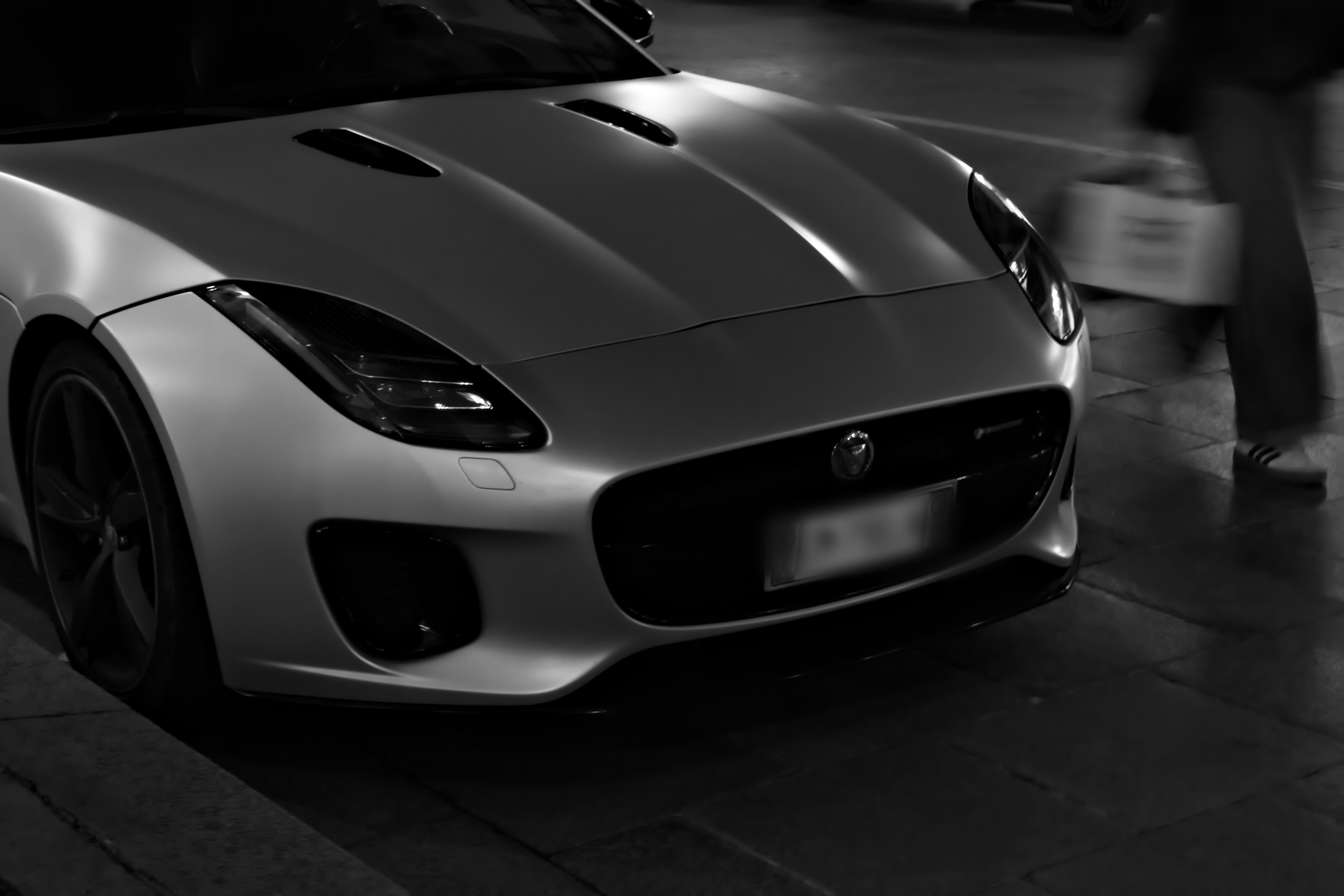 Photo by fedingo13_photography