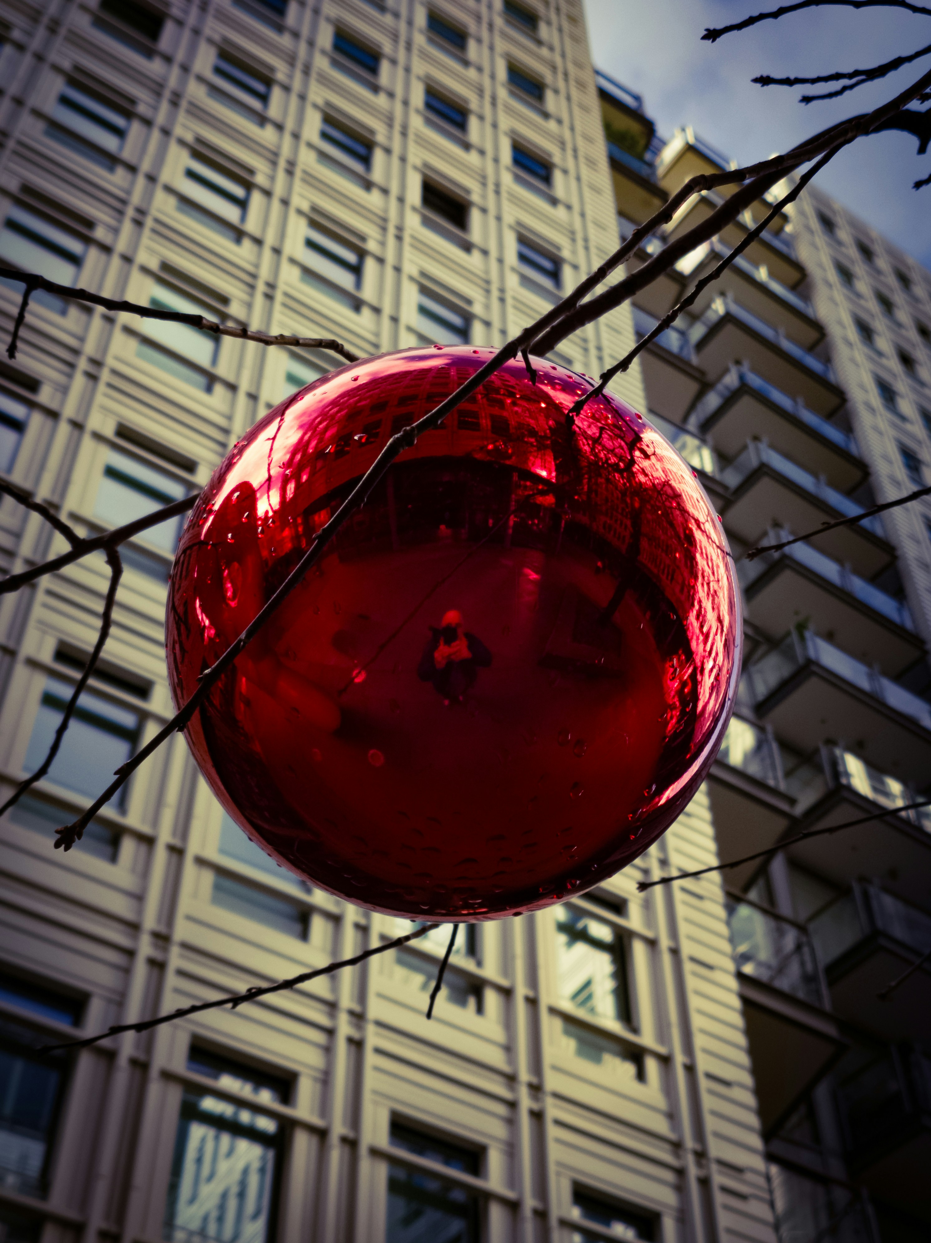 Red ornament hangs from branches with building background