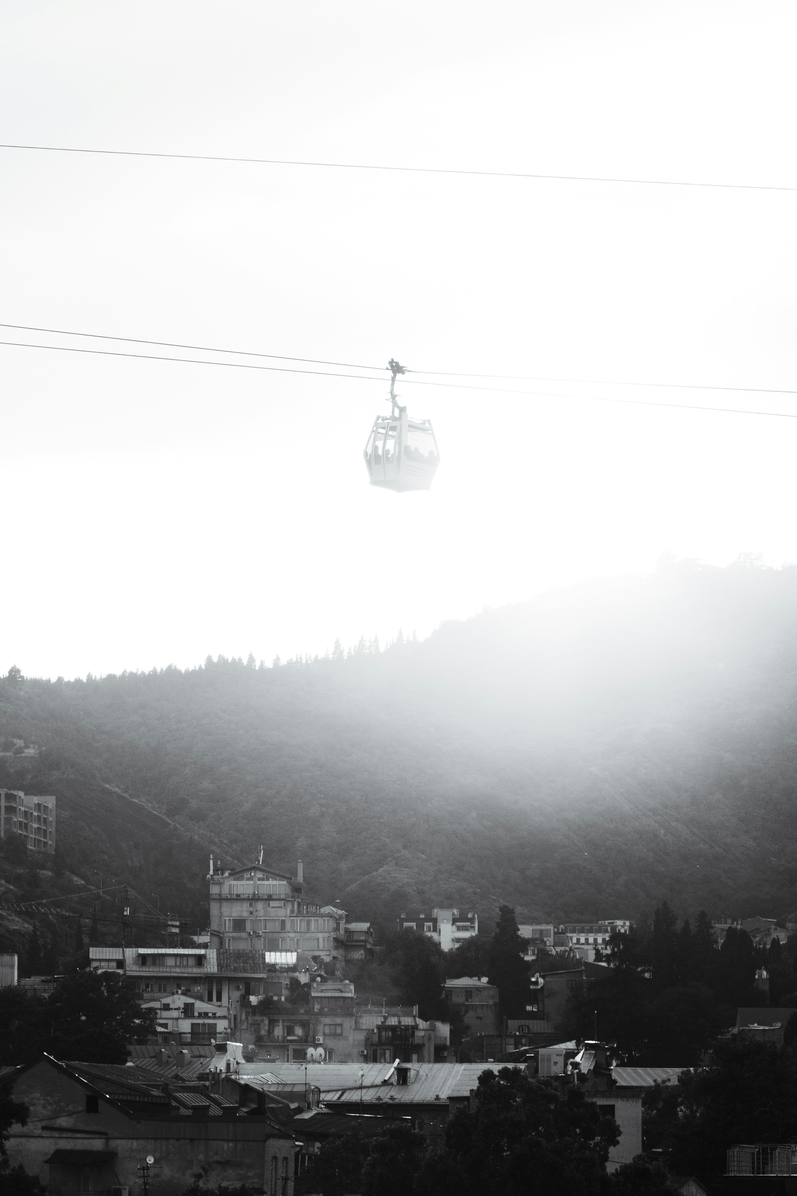 Mastering Bolt: Your Digital Taxi Solution Across Georgia