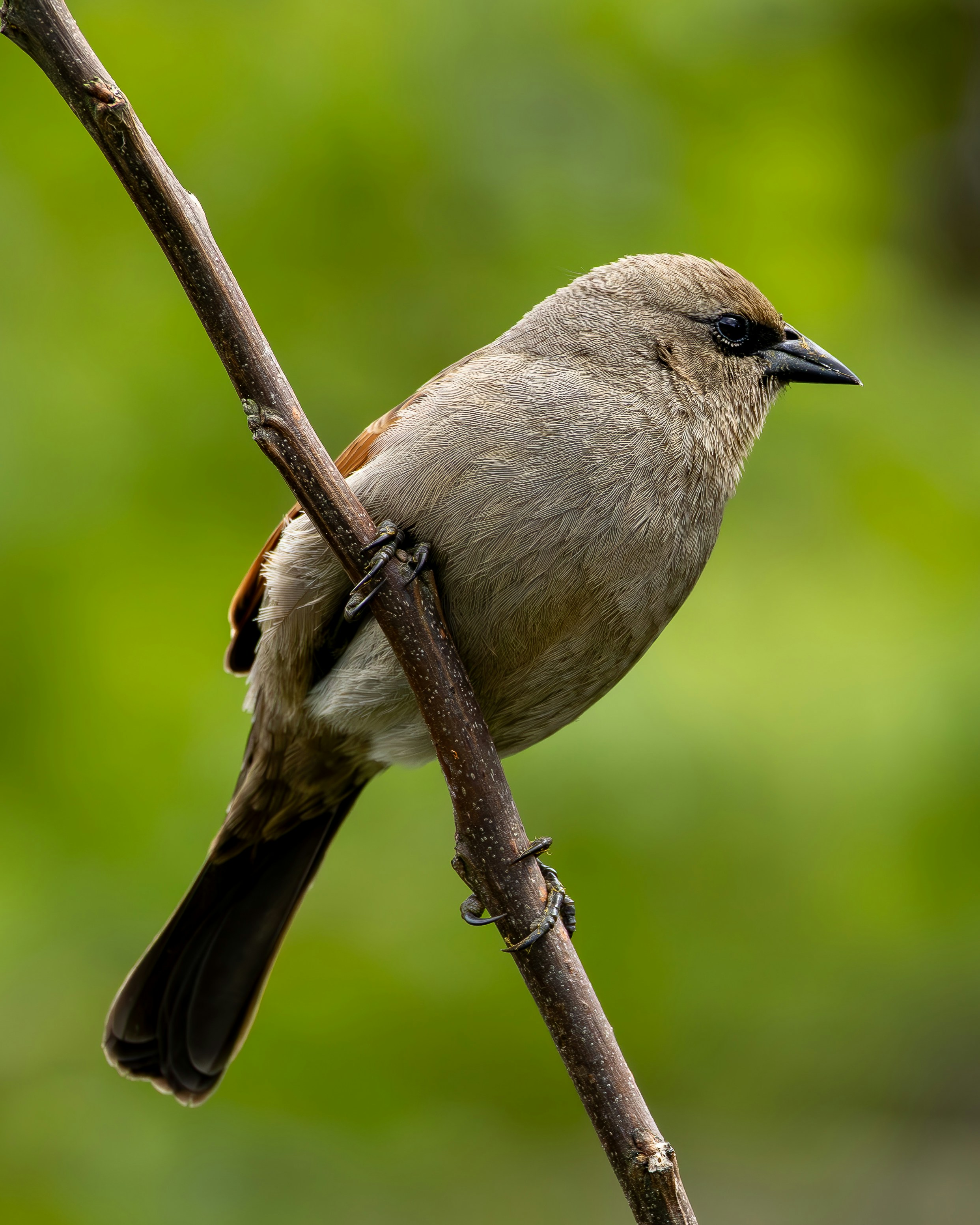 Photo by matheuskprot