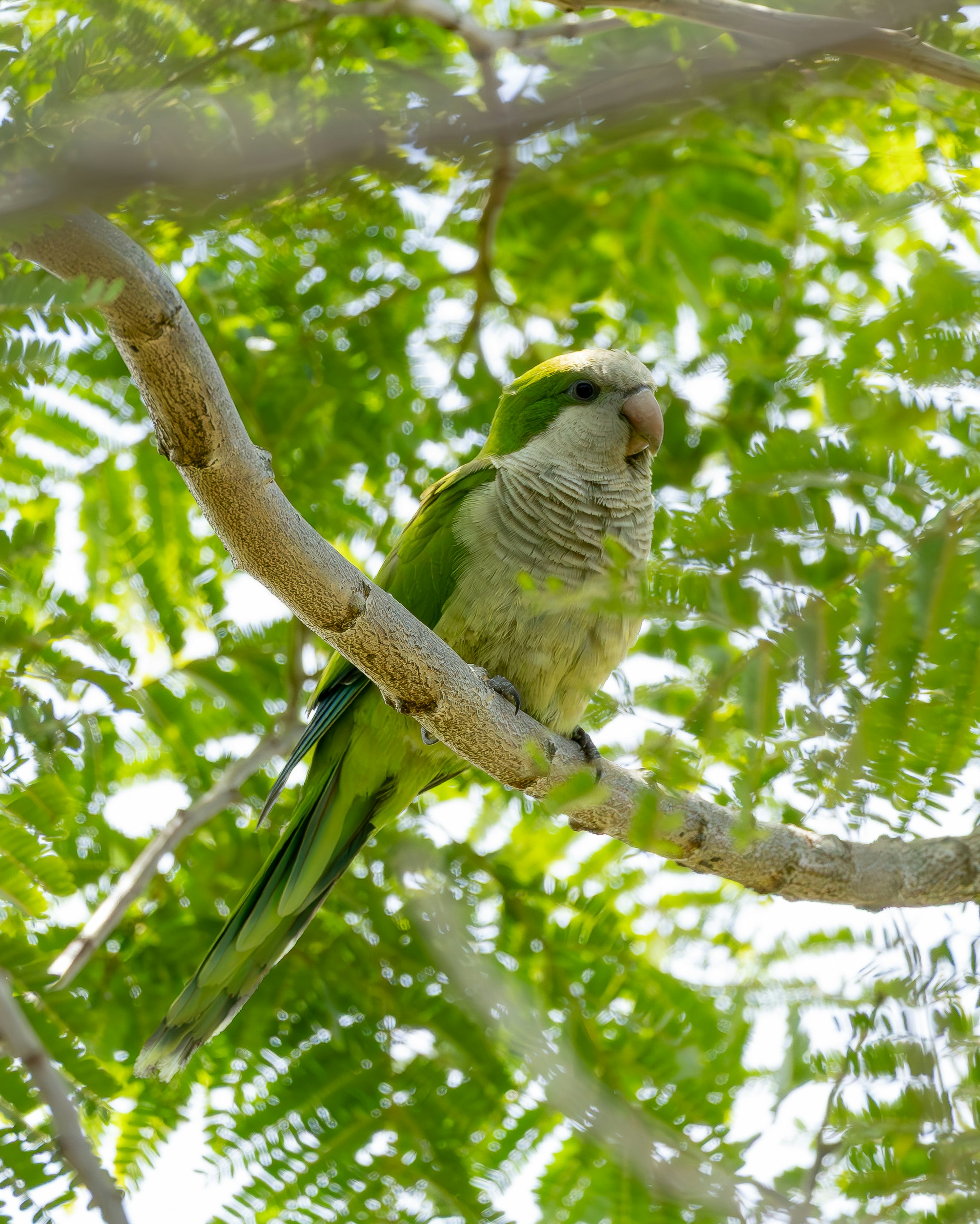 Photo by matheuskprot