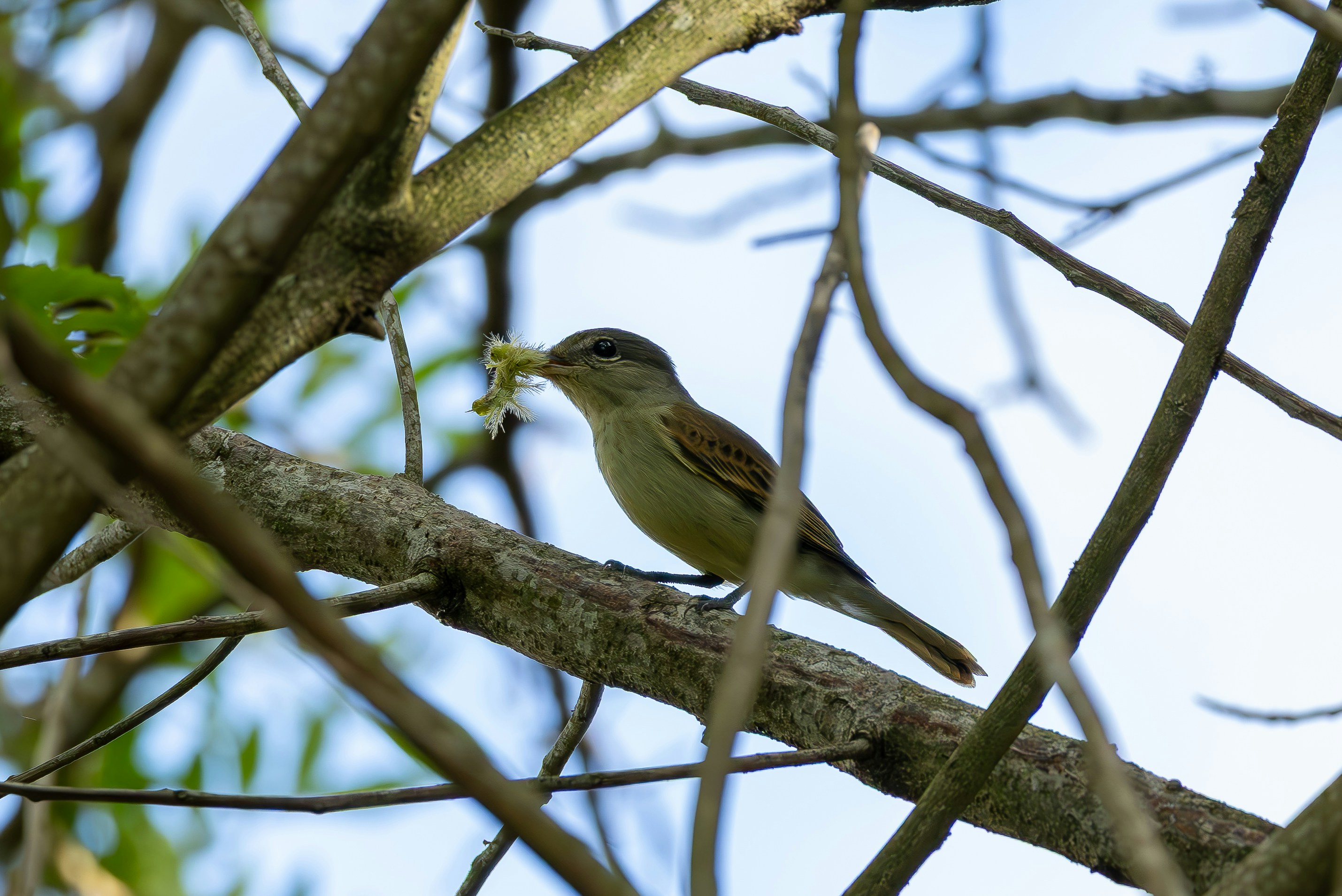 Photo by matheuskprot