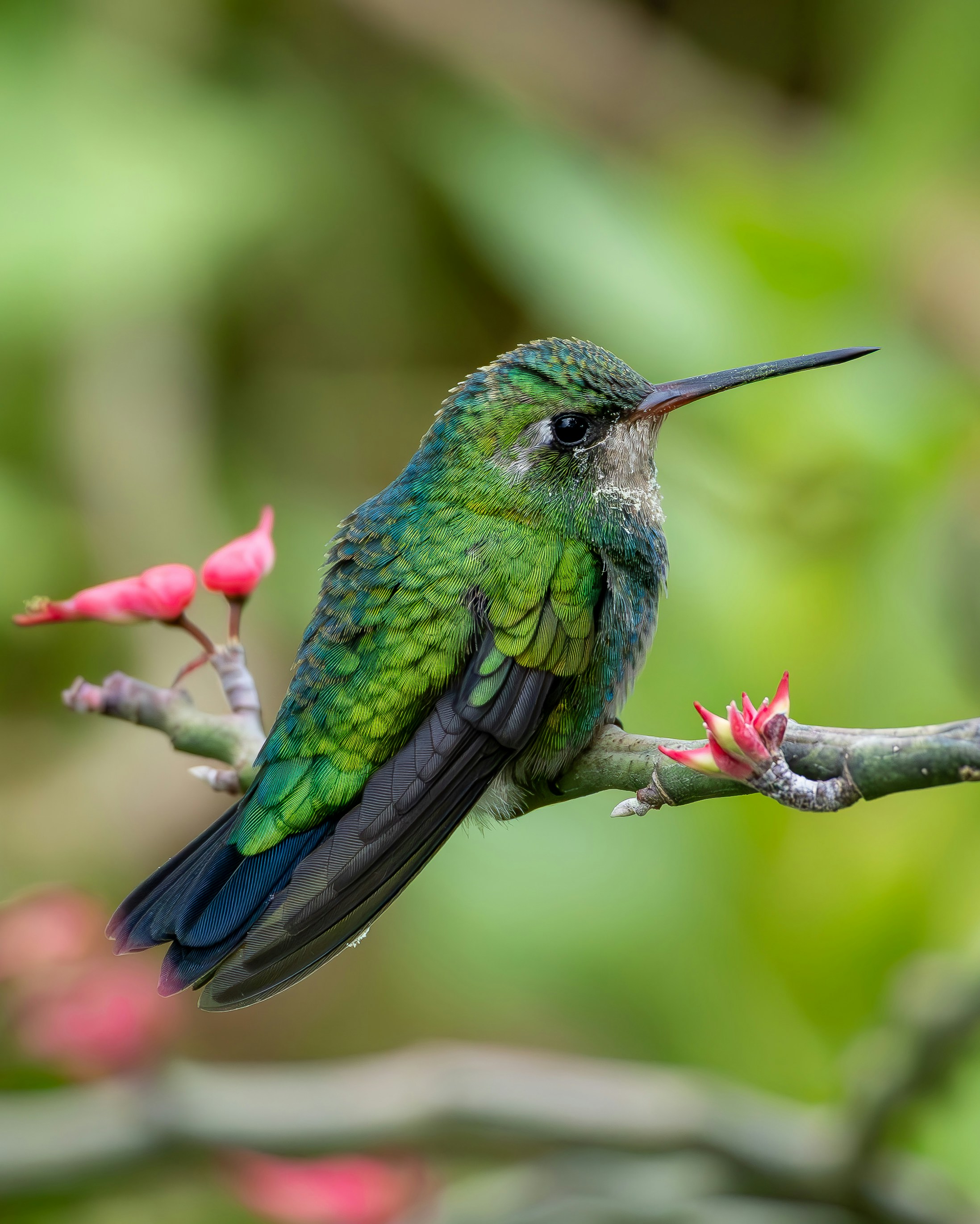 Photo by matheuskprot