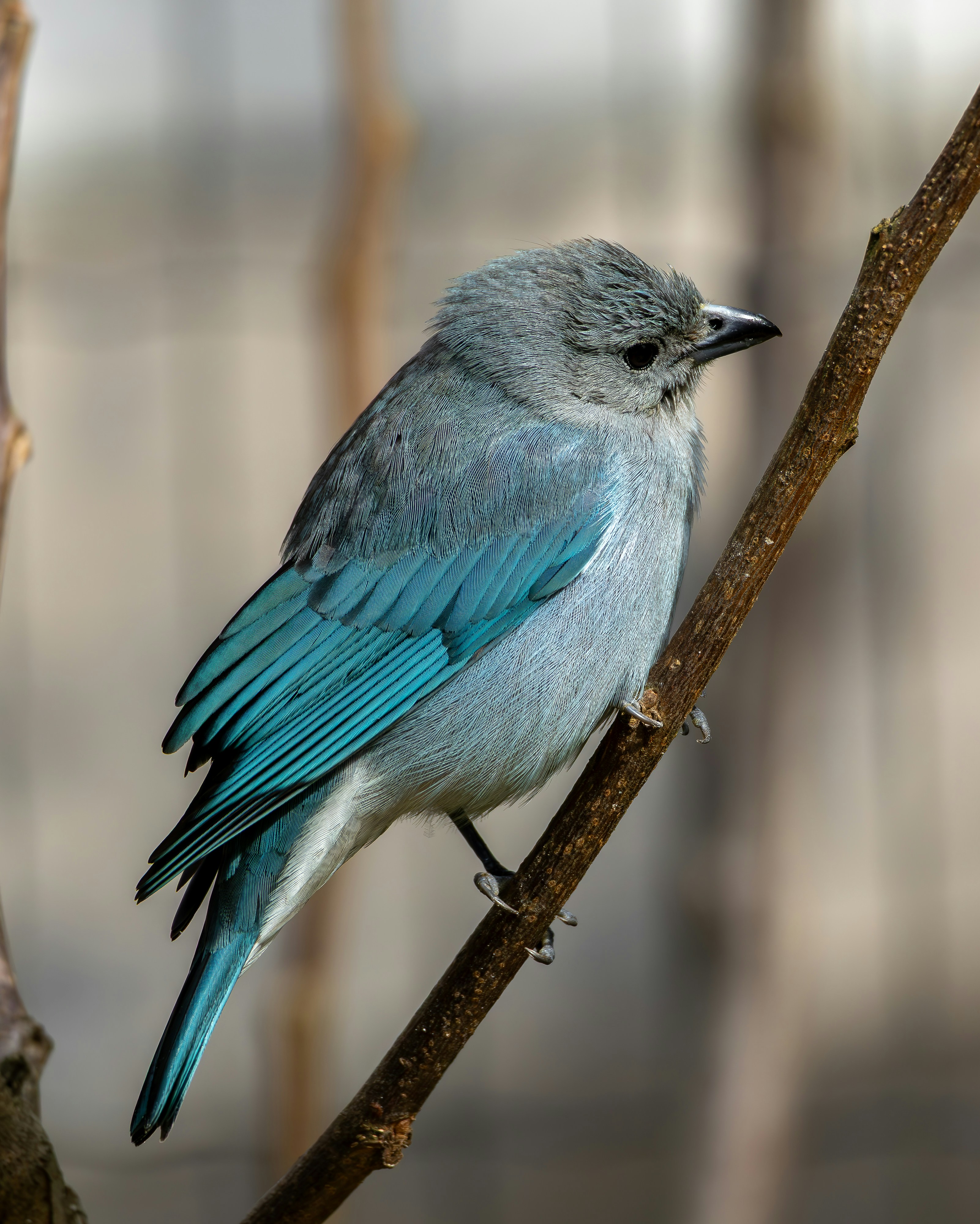 Photo by matheuskprot