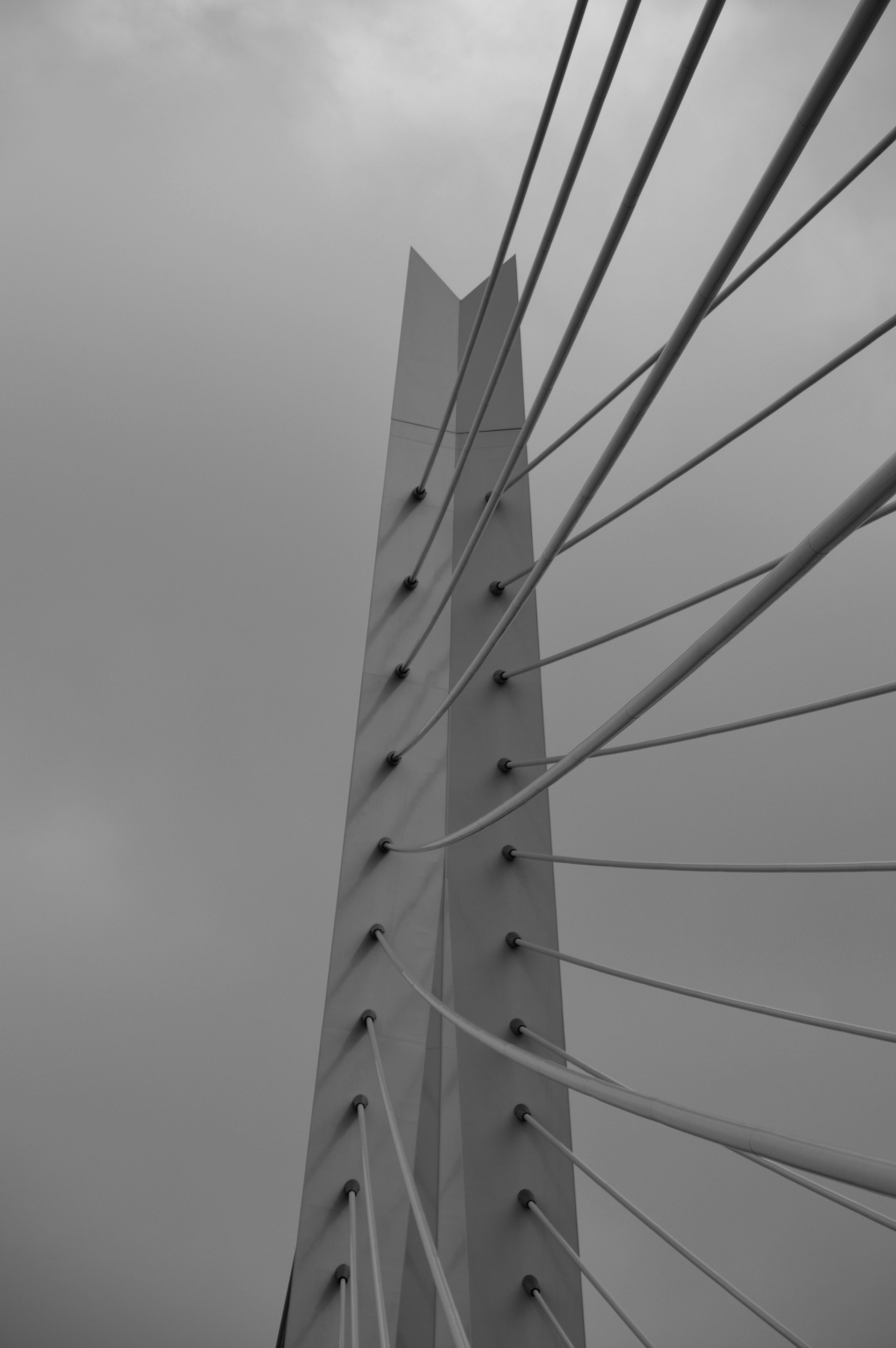 Photo by leonardo_finies