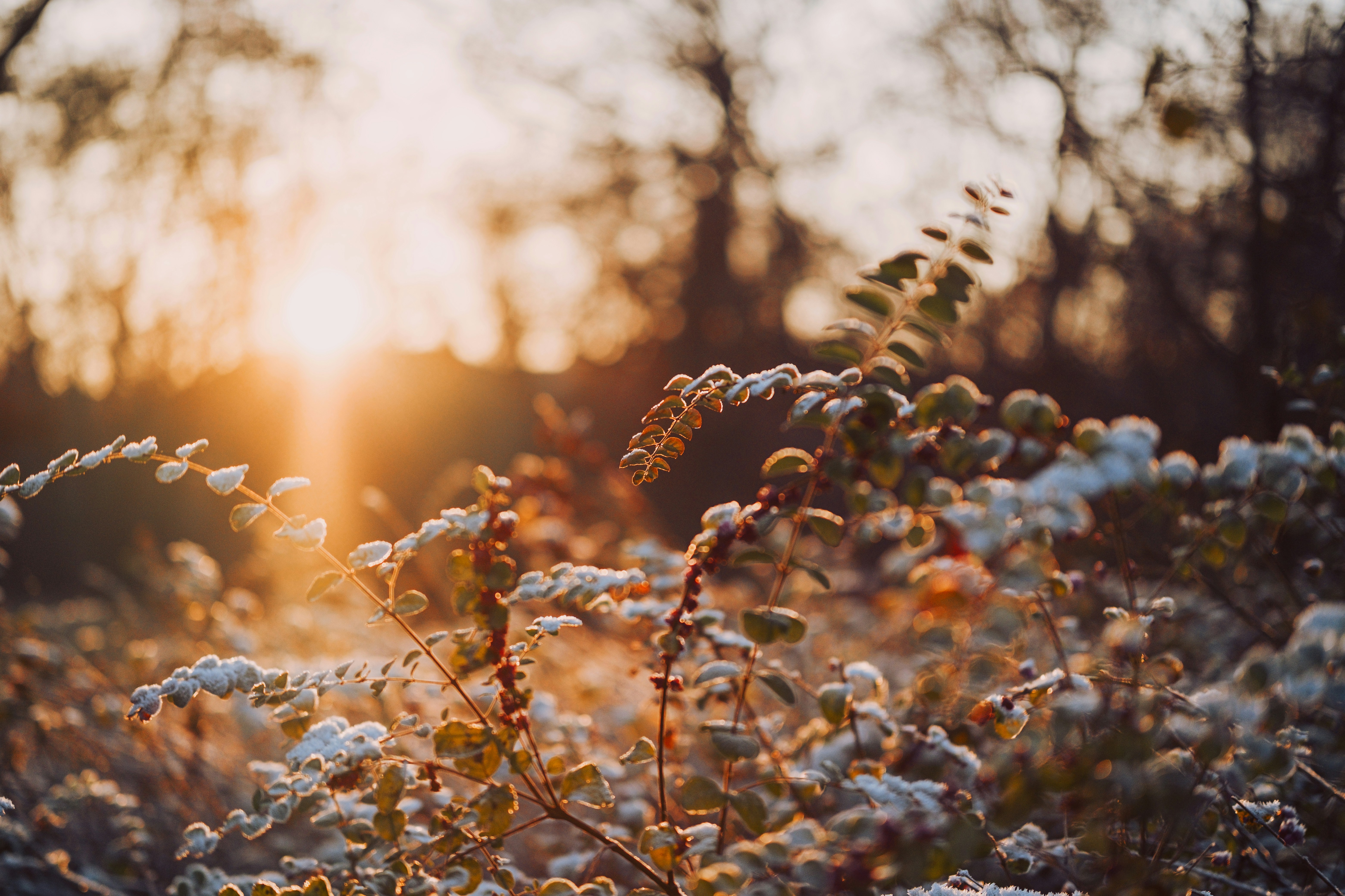 Just How Do Insurance Coverage Representatives Aid Homeowners In Navigating Through The Intricacies Of Acquiring Optimum Home Insurance Protection?