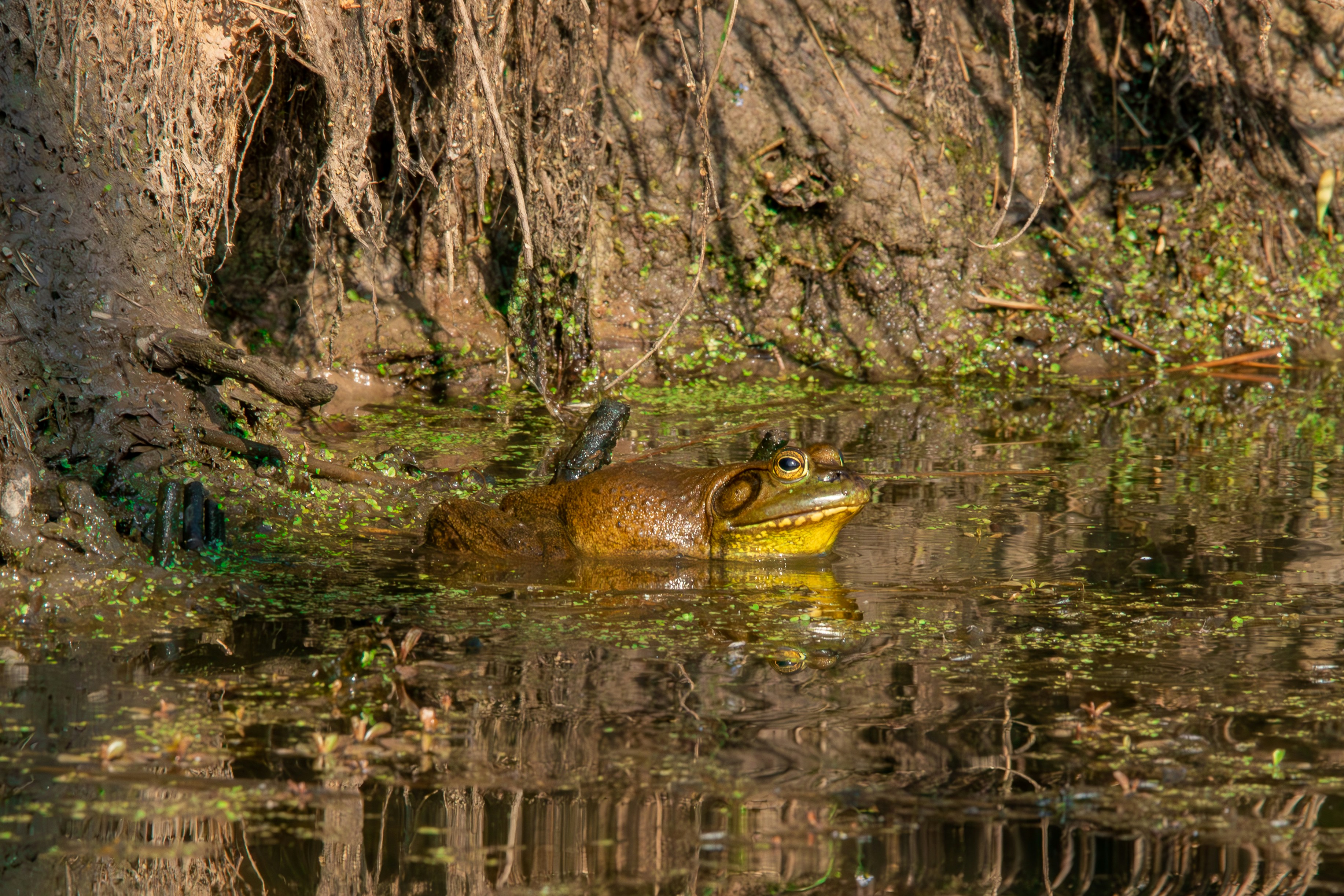 Photo by ucwhphotography