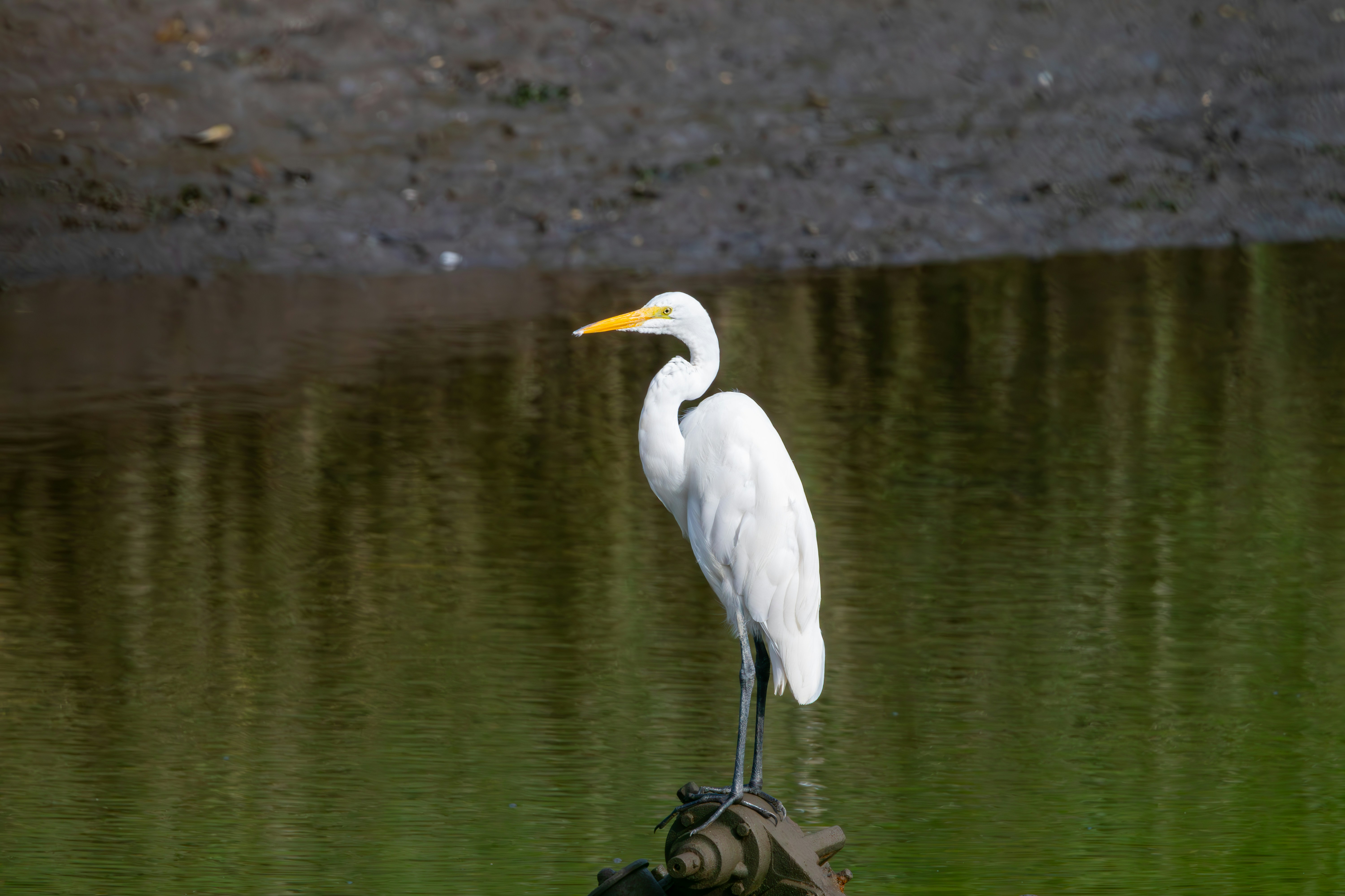 Photo by ucwhphotography